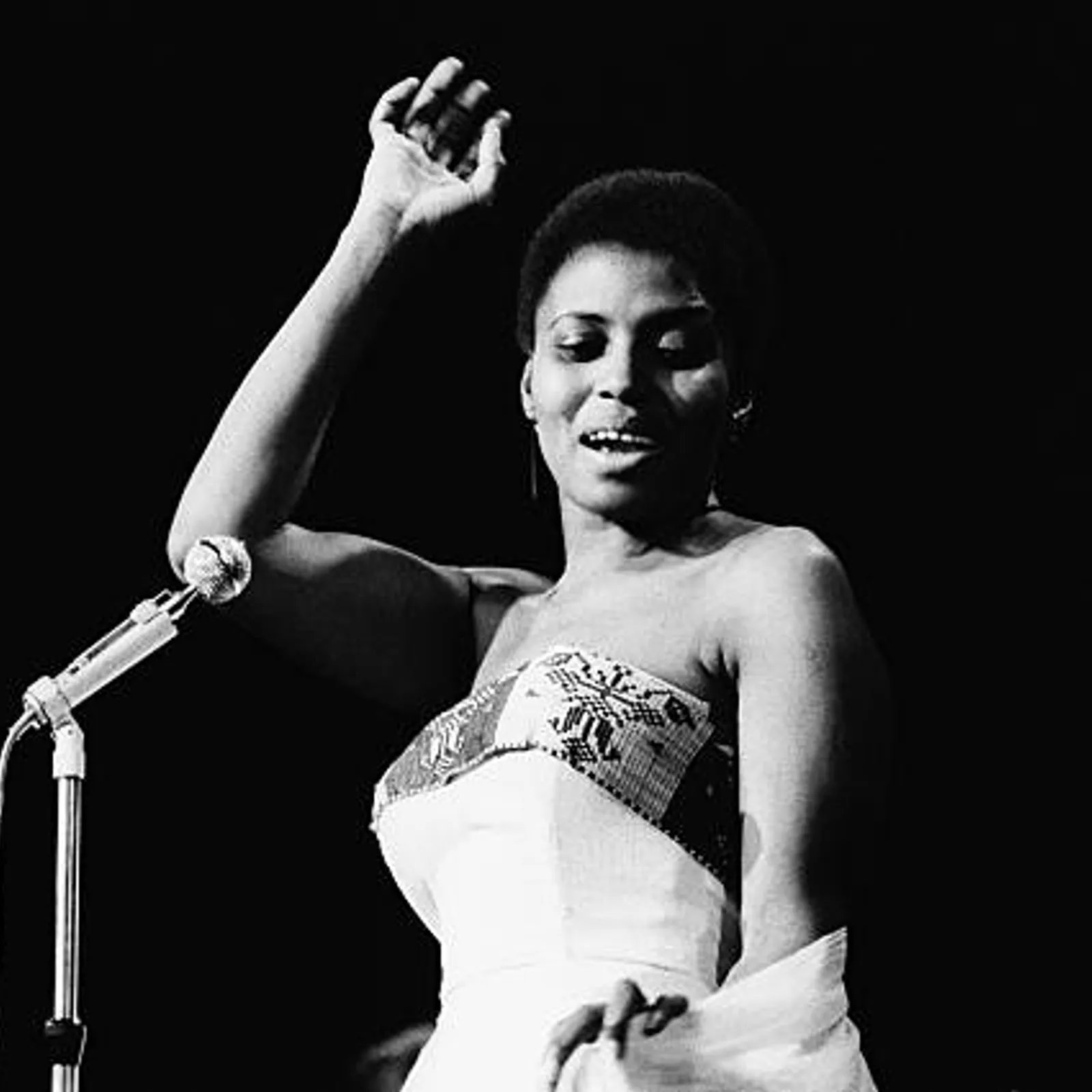 Trans Vinyl Express #53