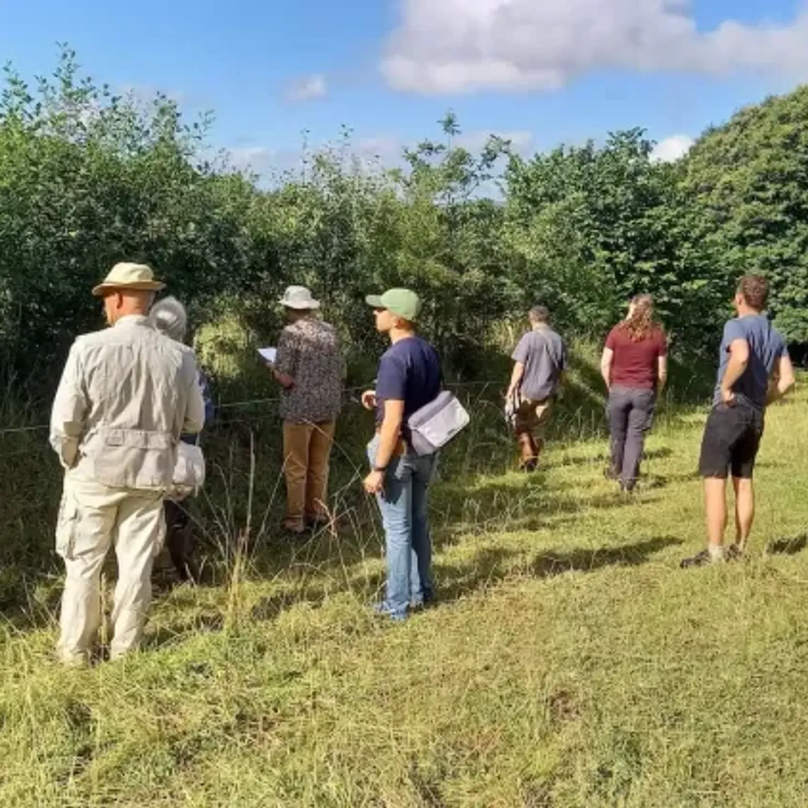Le concours d'agroforesterie 2025 du Finistère : escale à Penn ar Menez