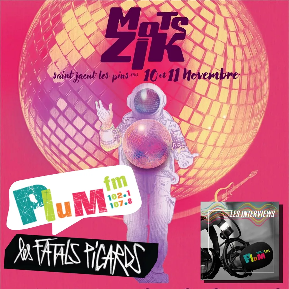 Les Fatals Picards : 20 ans de scène, d'engagement et d'humour