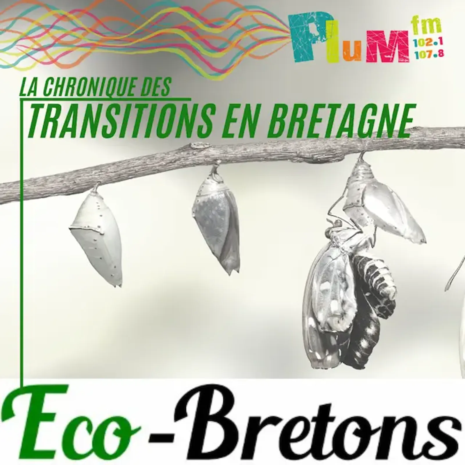 La chronique des transitions (En Bretagne) # 14 mai