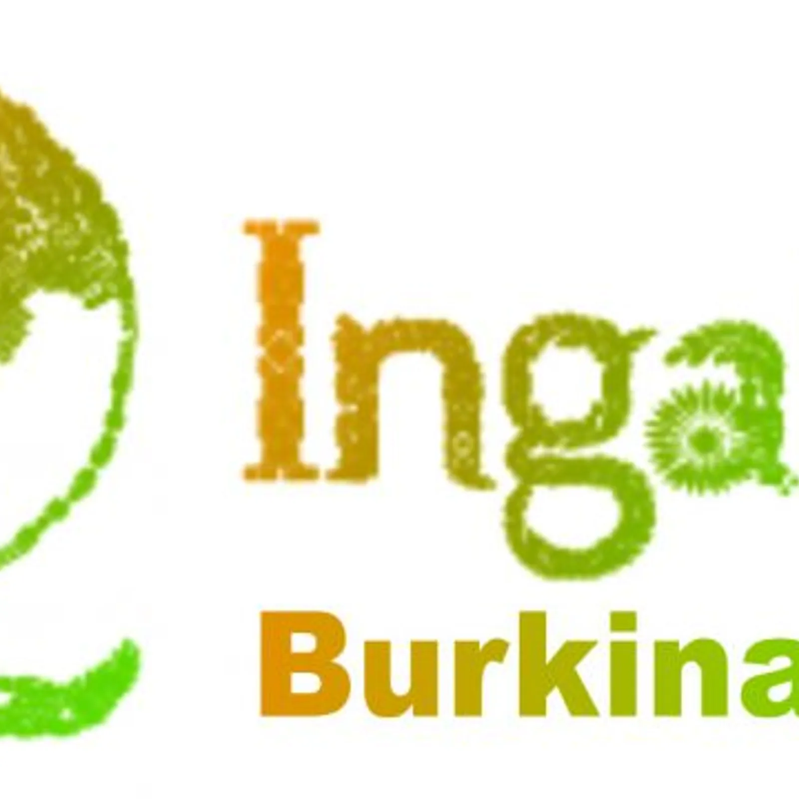 Campagne Ingalañ urgence Burkina Faso