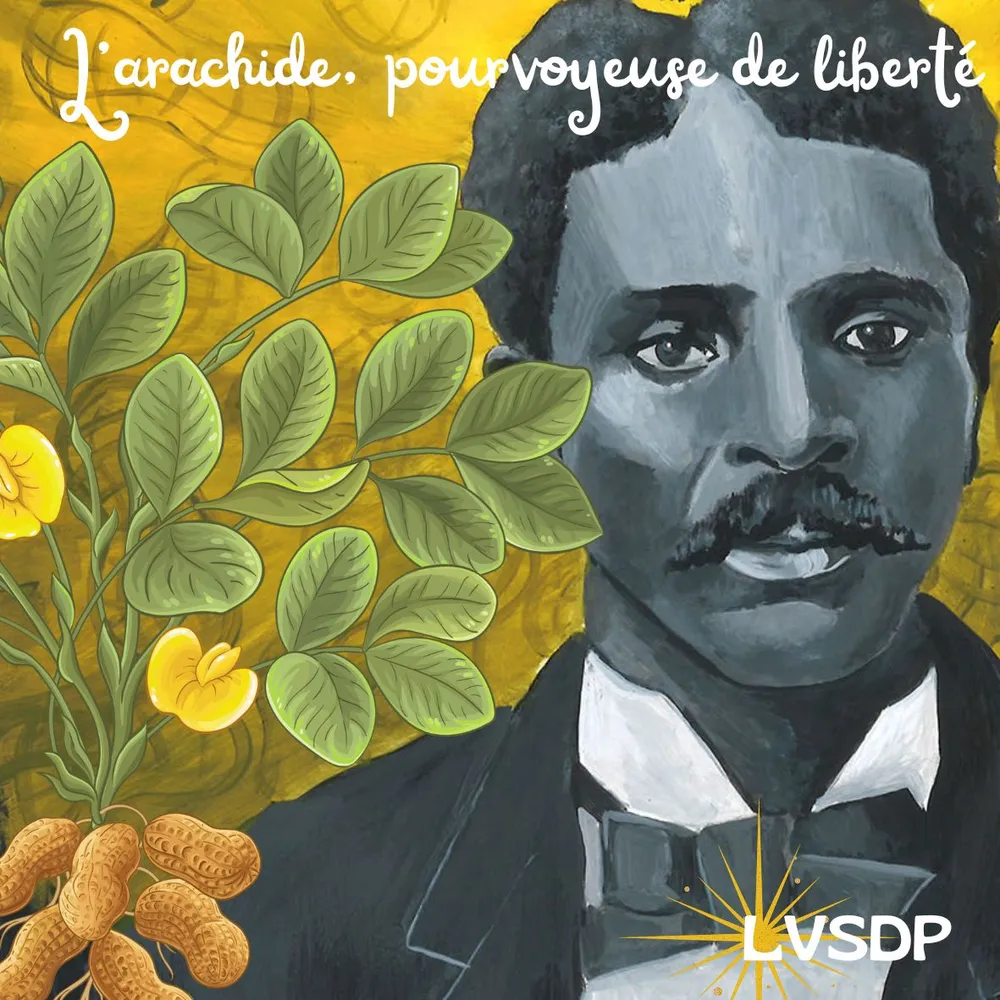 Dans la vie secrète des plantes #01 L'ARACHIDE, pourvoyeuse de liberté