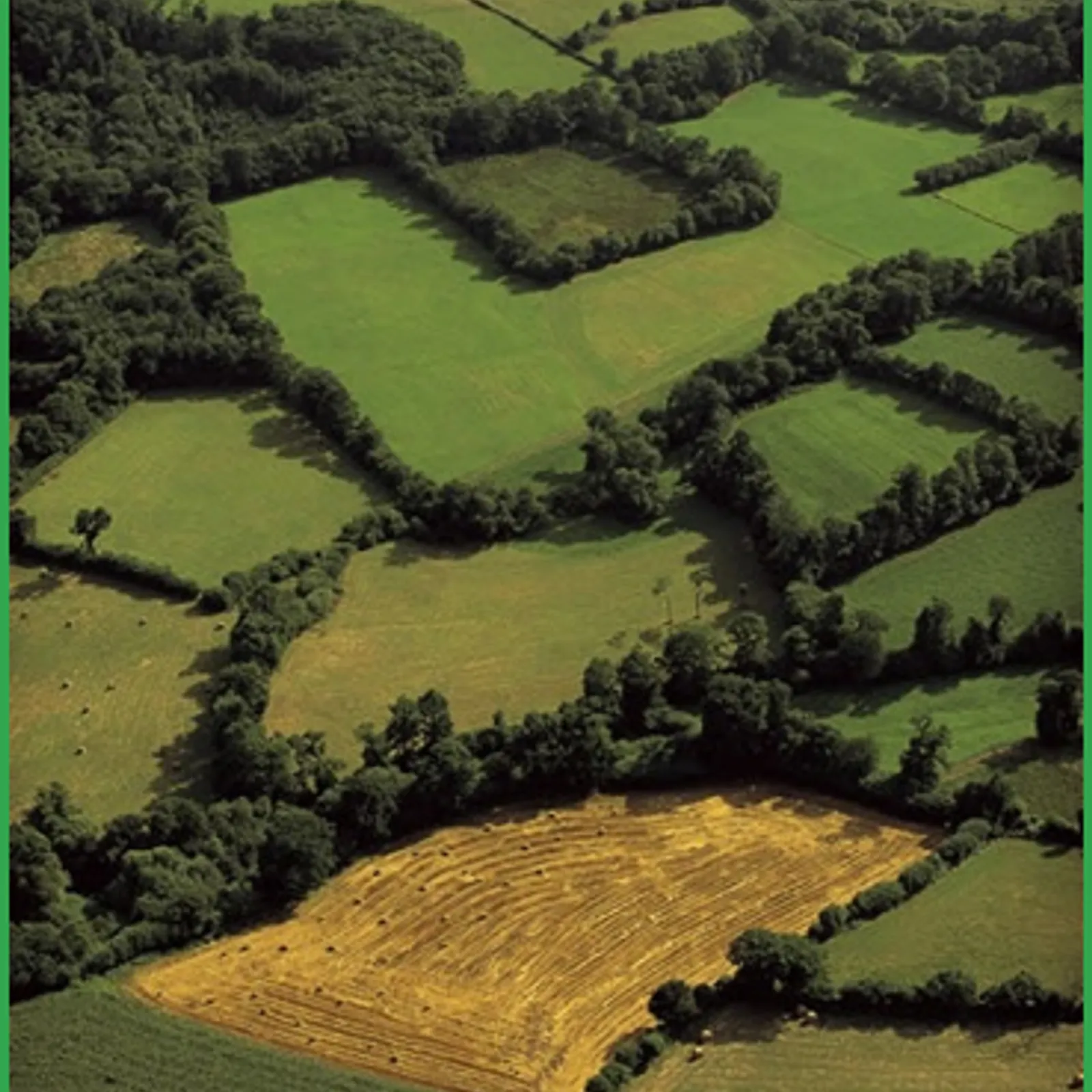 Penaos sevel kleuzioù gant Breizh Bocage ?