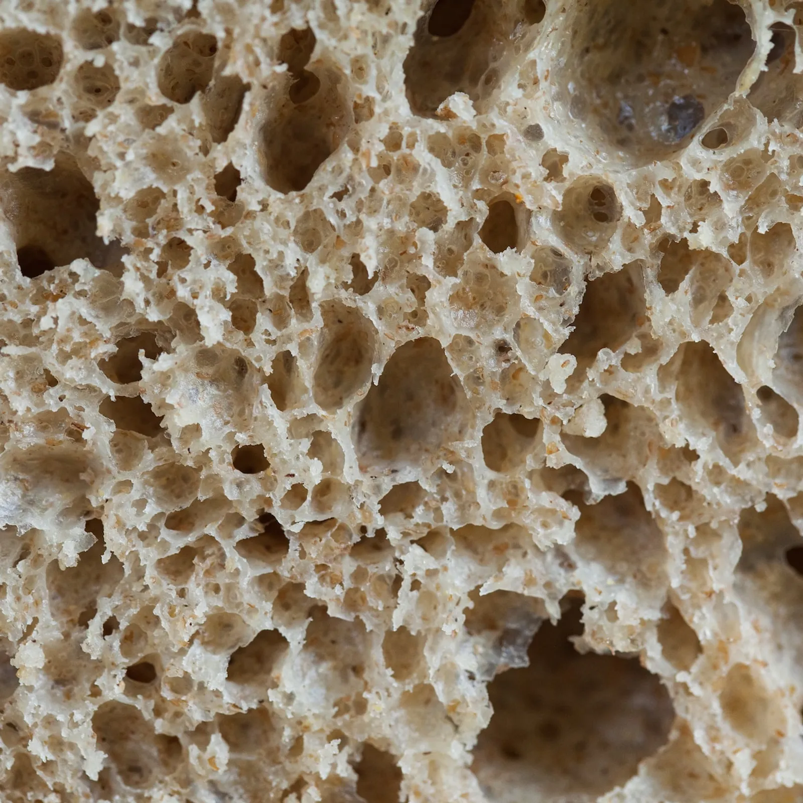 2vn evit kompren ar gluten