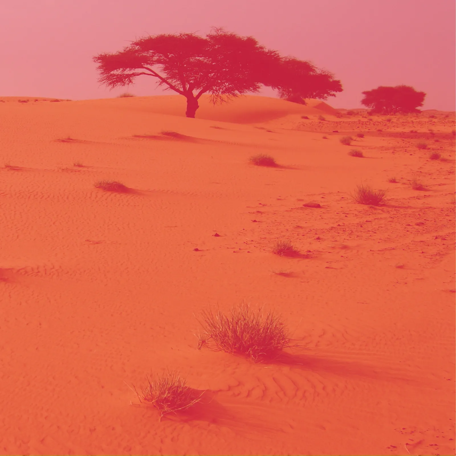 Green Washing #4 l'eau patrimoine naturel, gestion et enjeux politiques