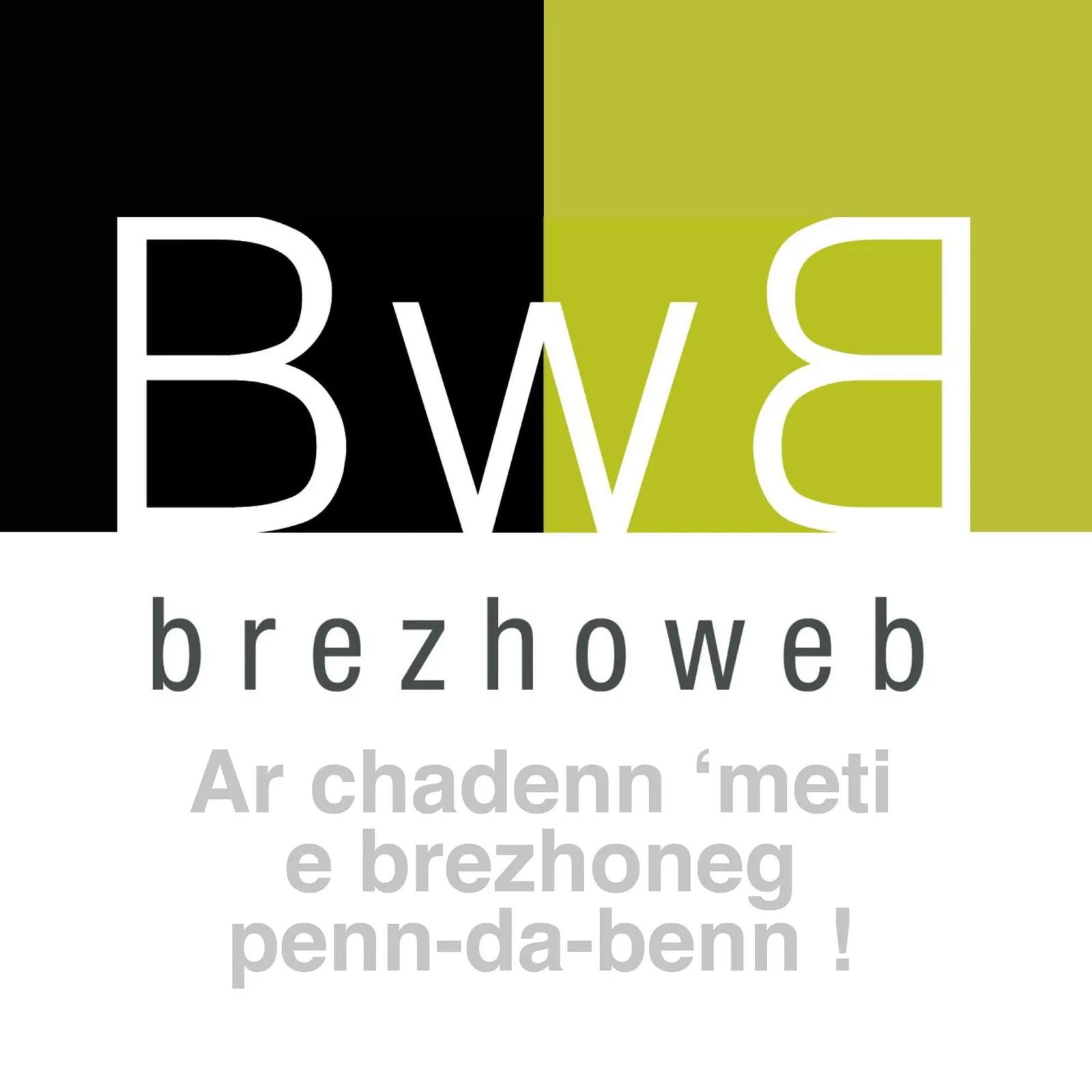 Brezhoweb, la télé en breton !