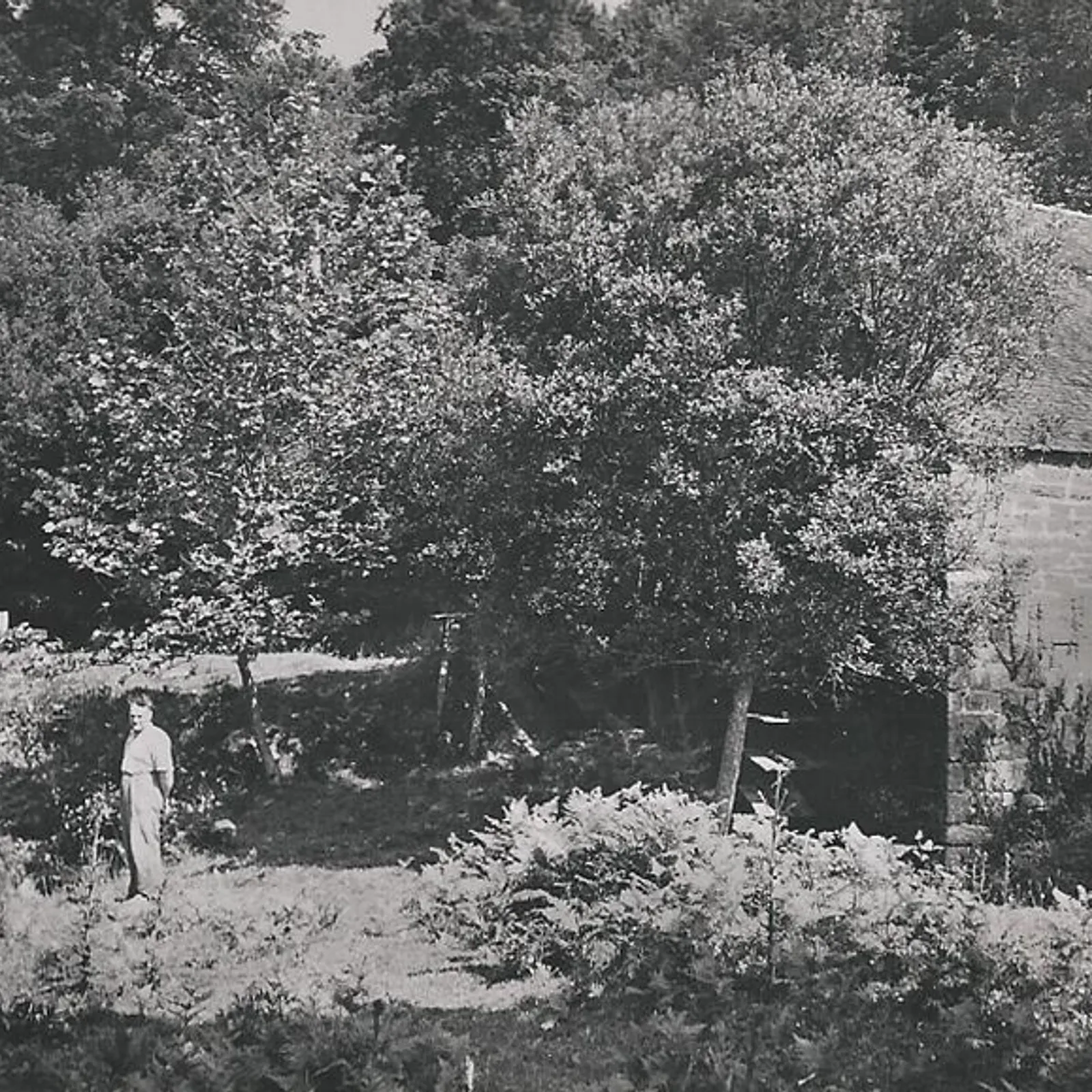 Maxime Crahé -Ti mod kozh 1