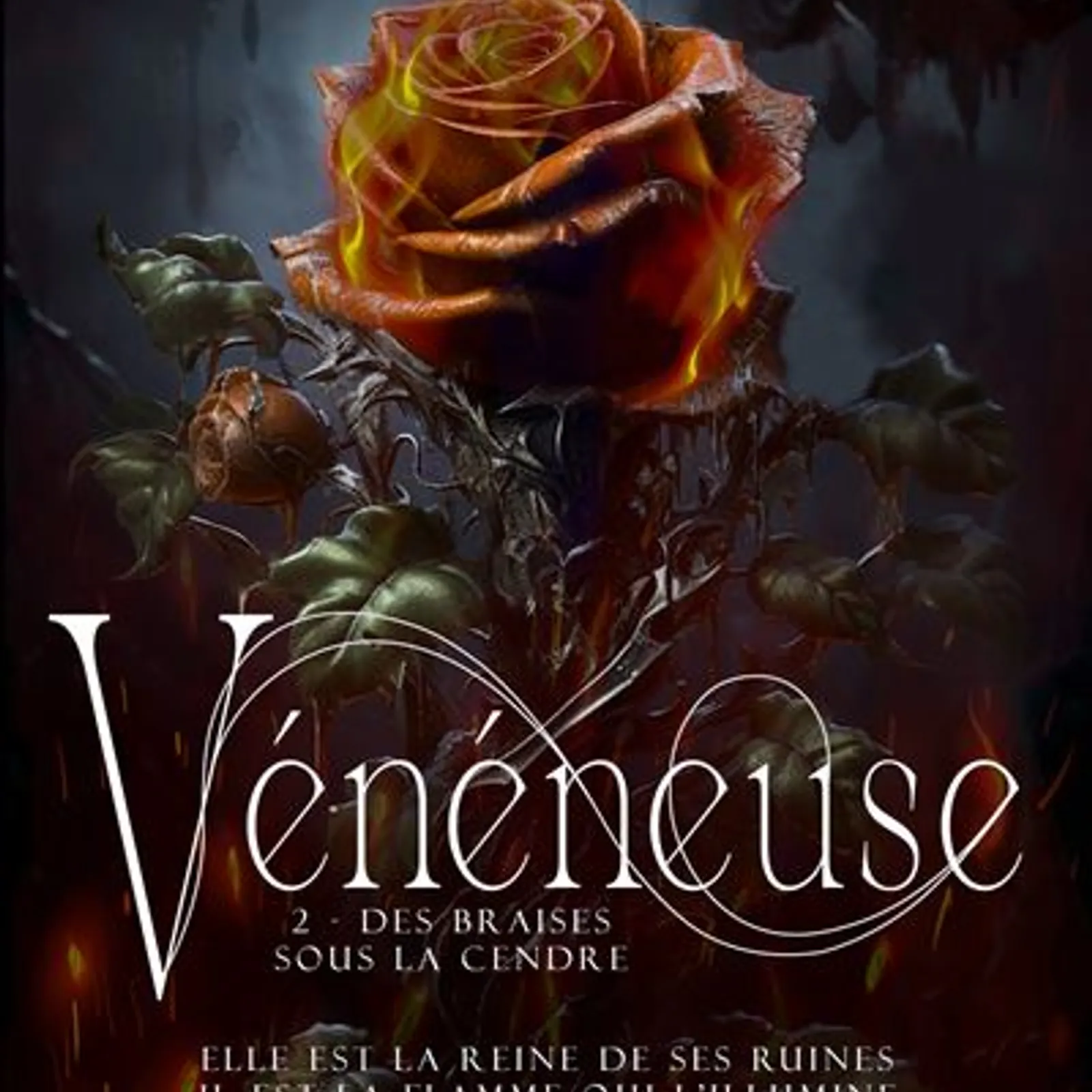 Romantasy : un deuxième ouvrage de l'autrice bretonne Cyndra O'Hara