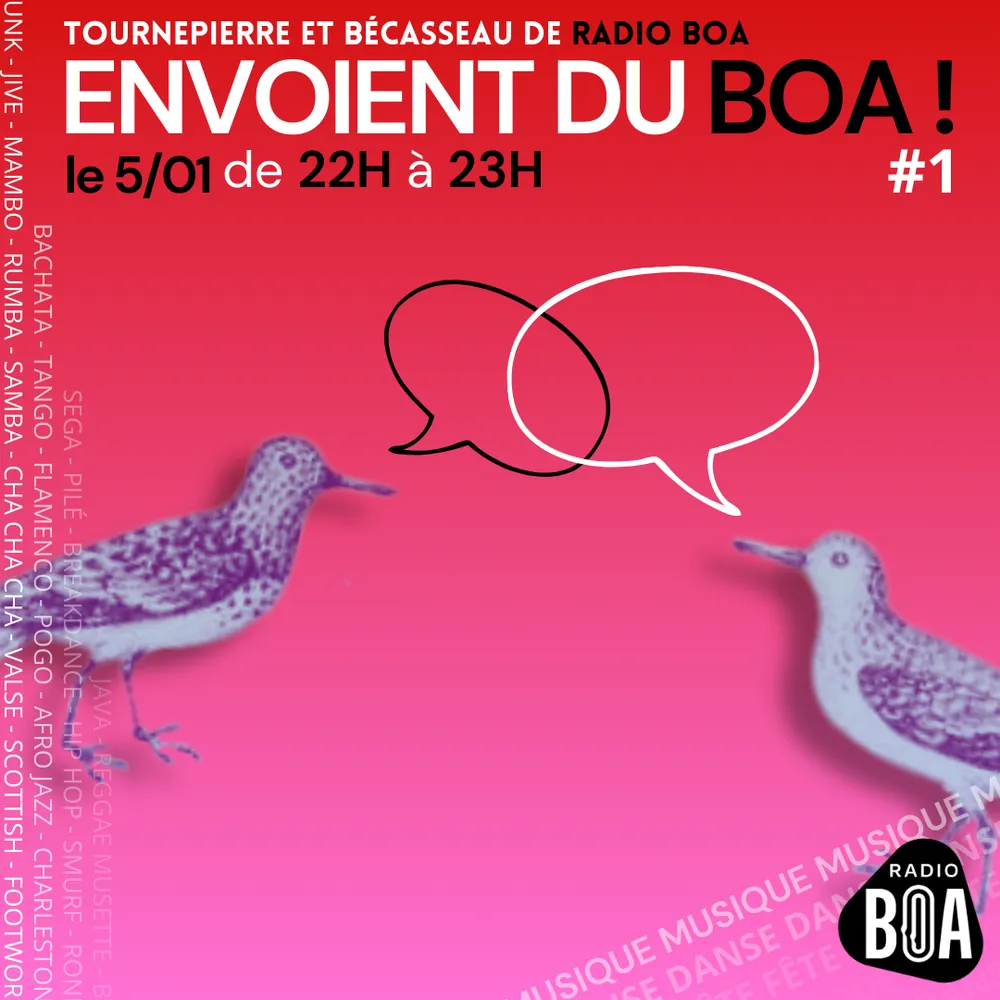 Tournepierre et Bécasseau envoient du BOA ! #1
