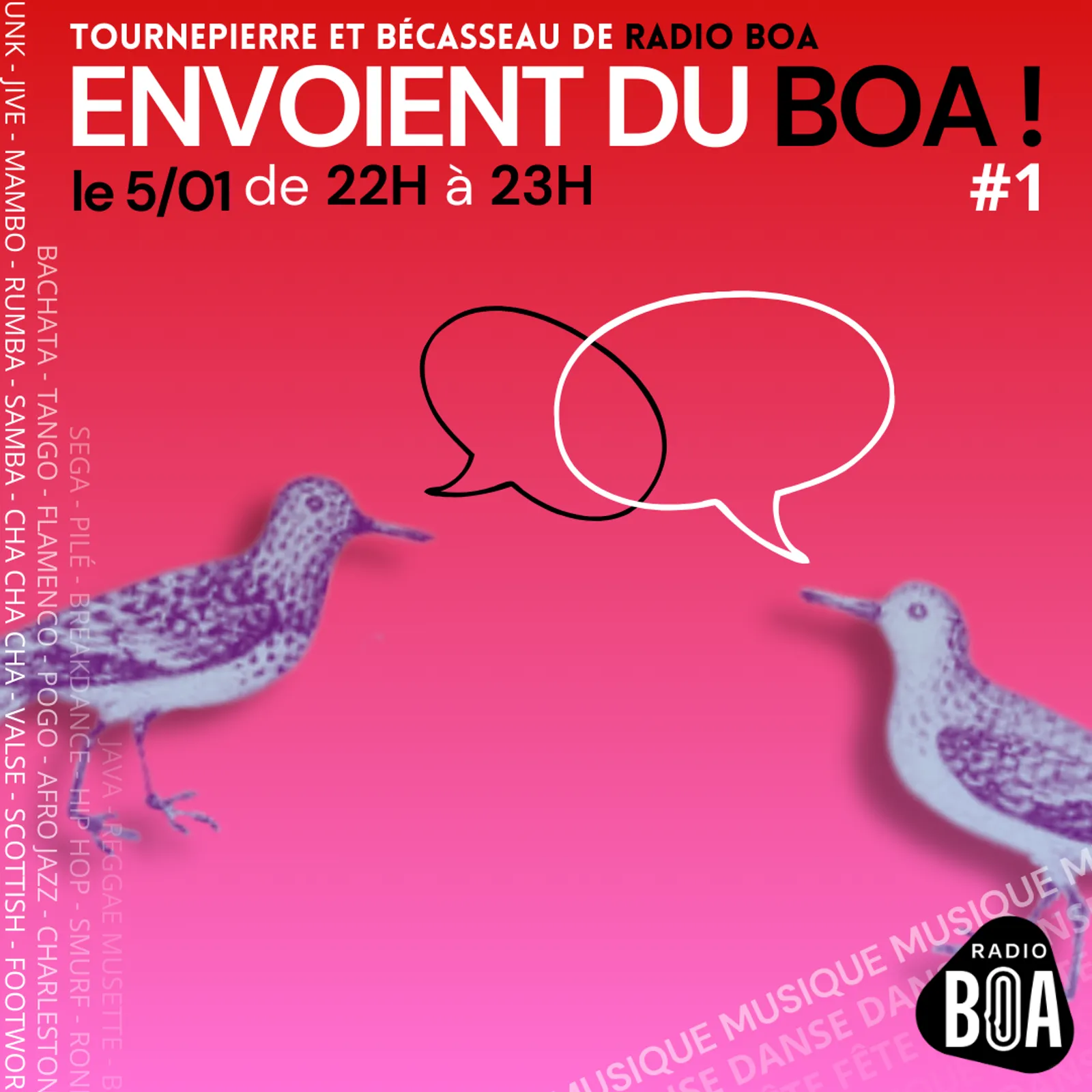 Tournepierre et Bécasseau envoient du BOA ! #1