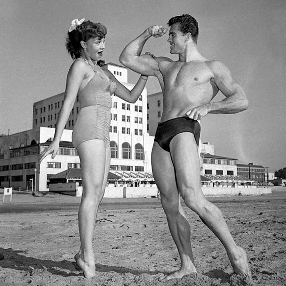 Trans Vinyl Express #120