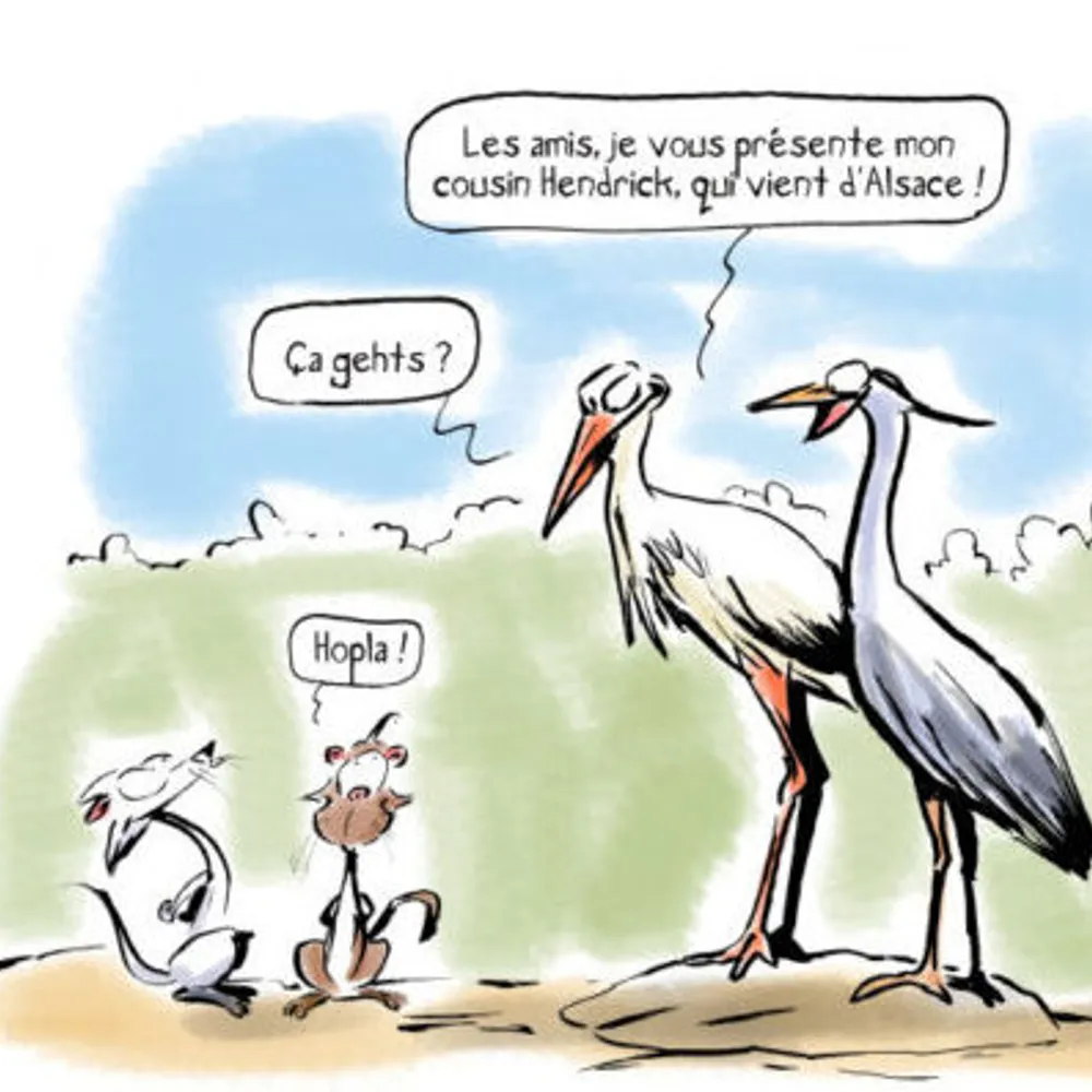 La bande dessinée - Jeudi en direct