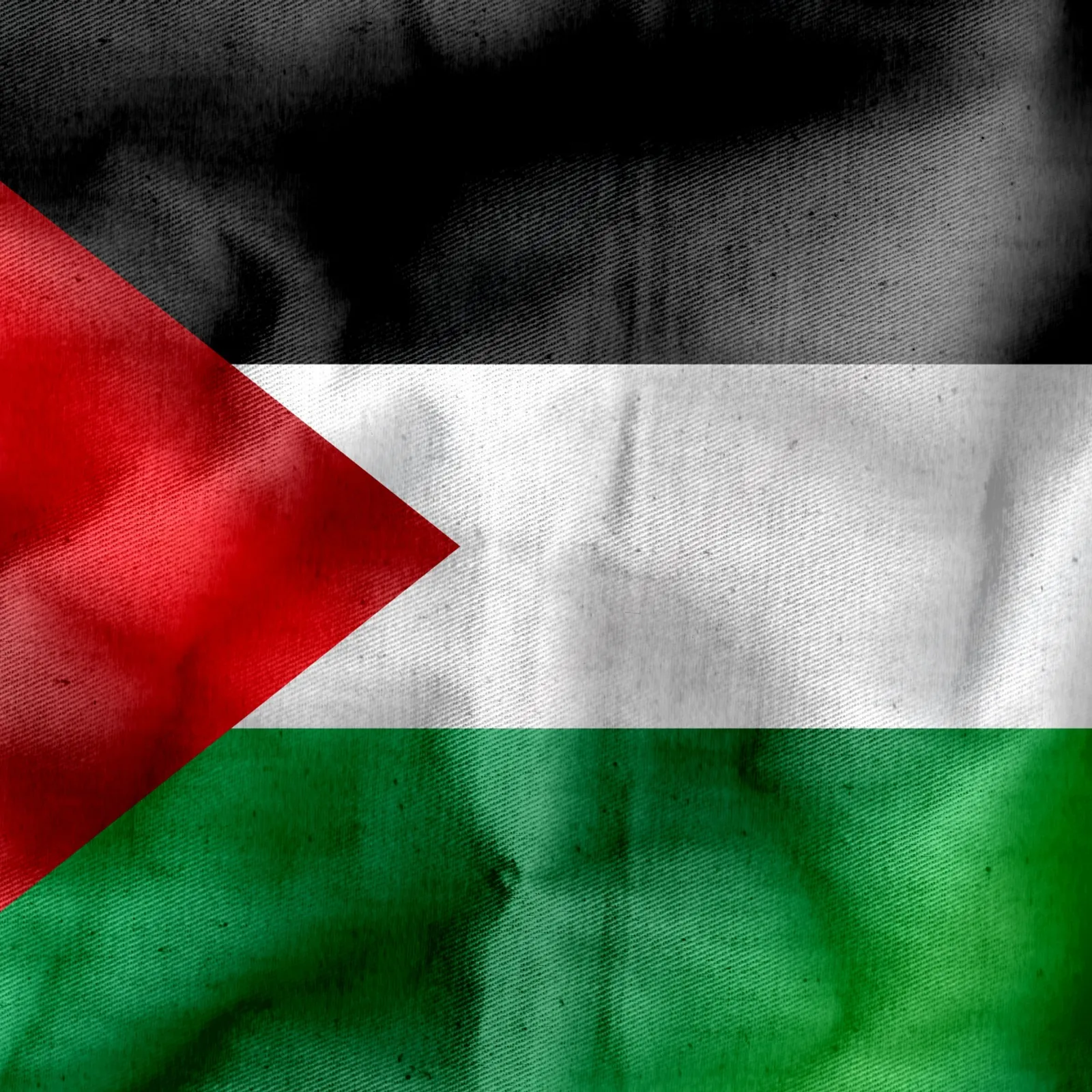 Gwall ziaes eo manifestiñ e Frañs evit ar peoc'h etre Israel ha Palestina