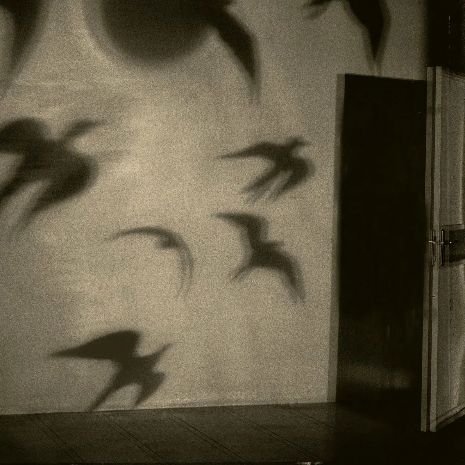 Ar c'hoant, ar pezh na bad ket hag ar c'hazh bihan : barzhonegoù Marie-Pierre-Laurens