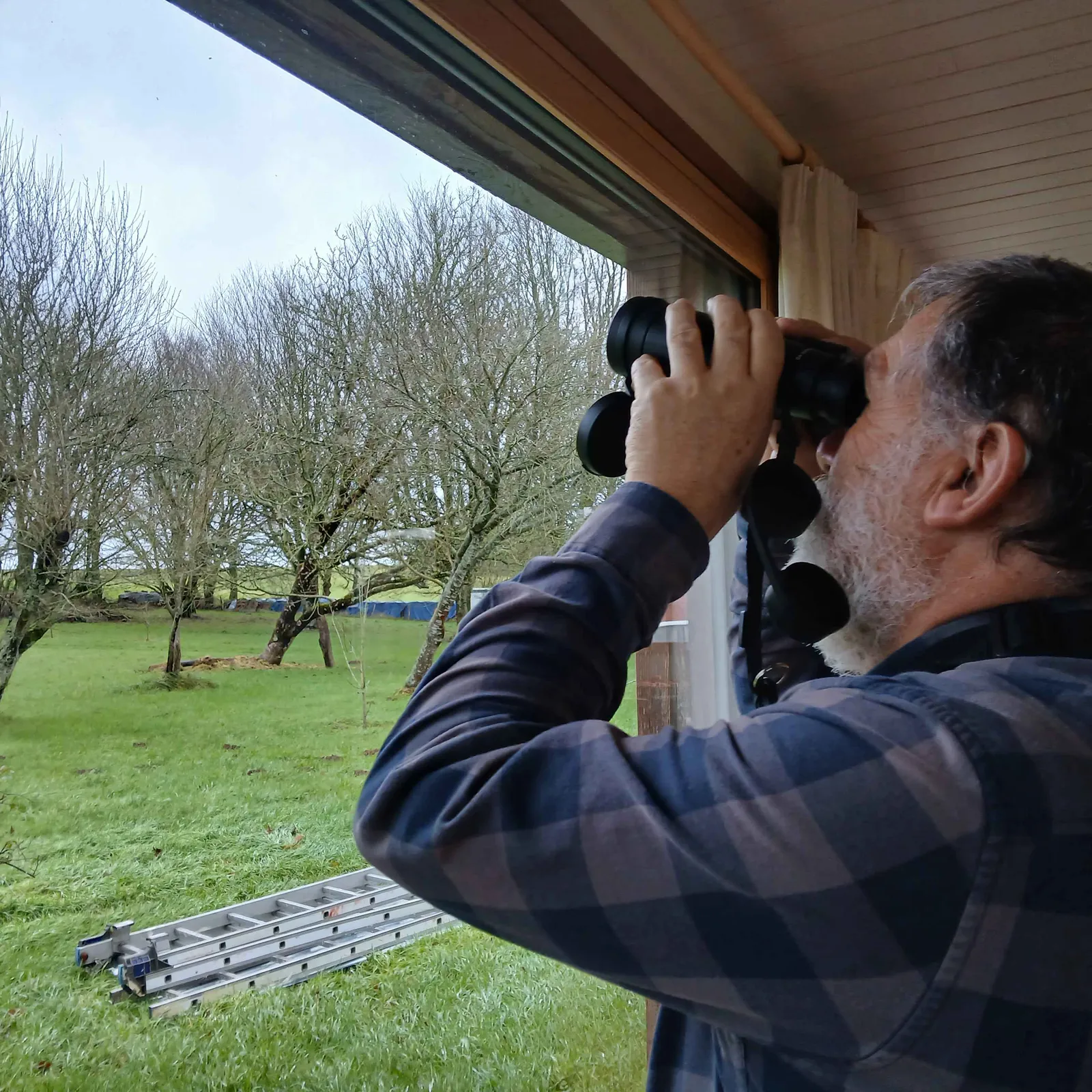 Niveradeg al laboused