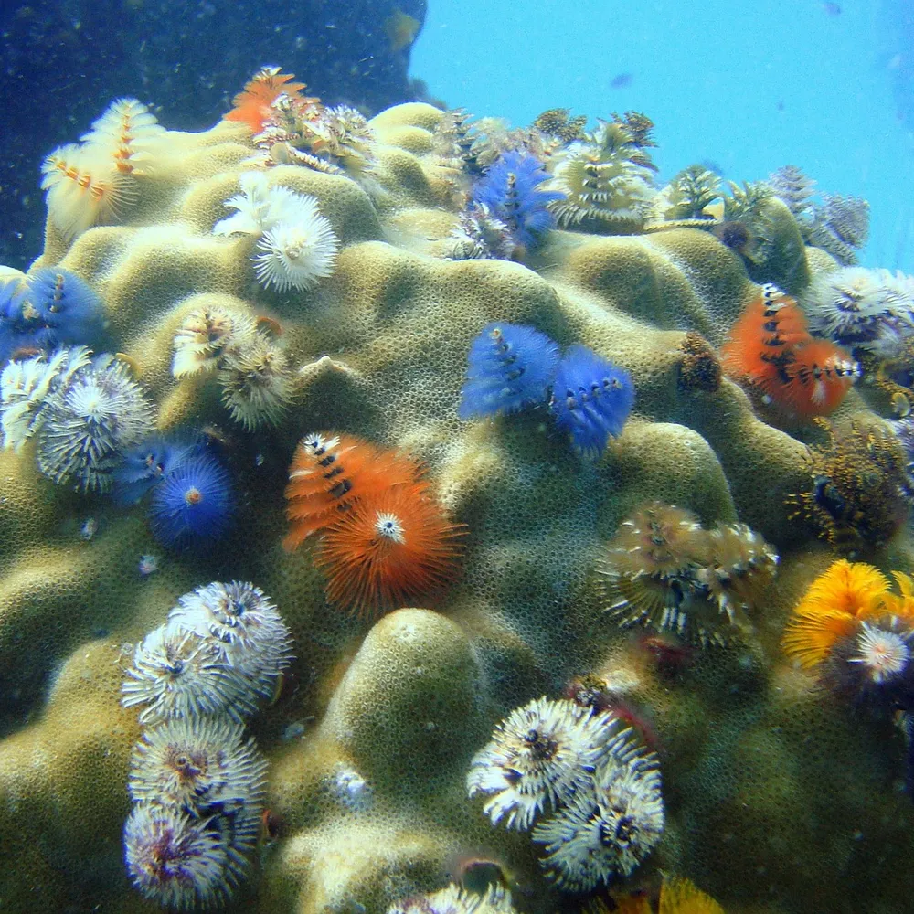 LE LAB U #37 BON ETAT ECOLOGIQUE