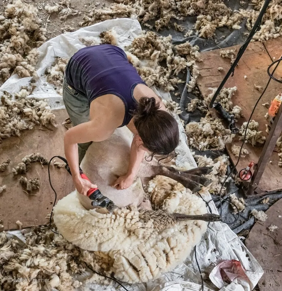 De la tonte à la trogne avec Florence B.