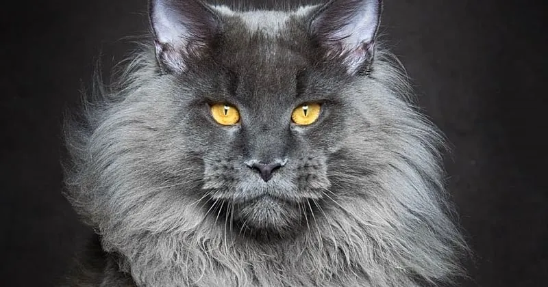 Les gens - 09 Septembre 2024