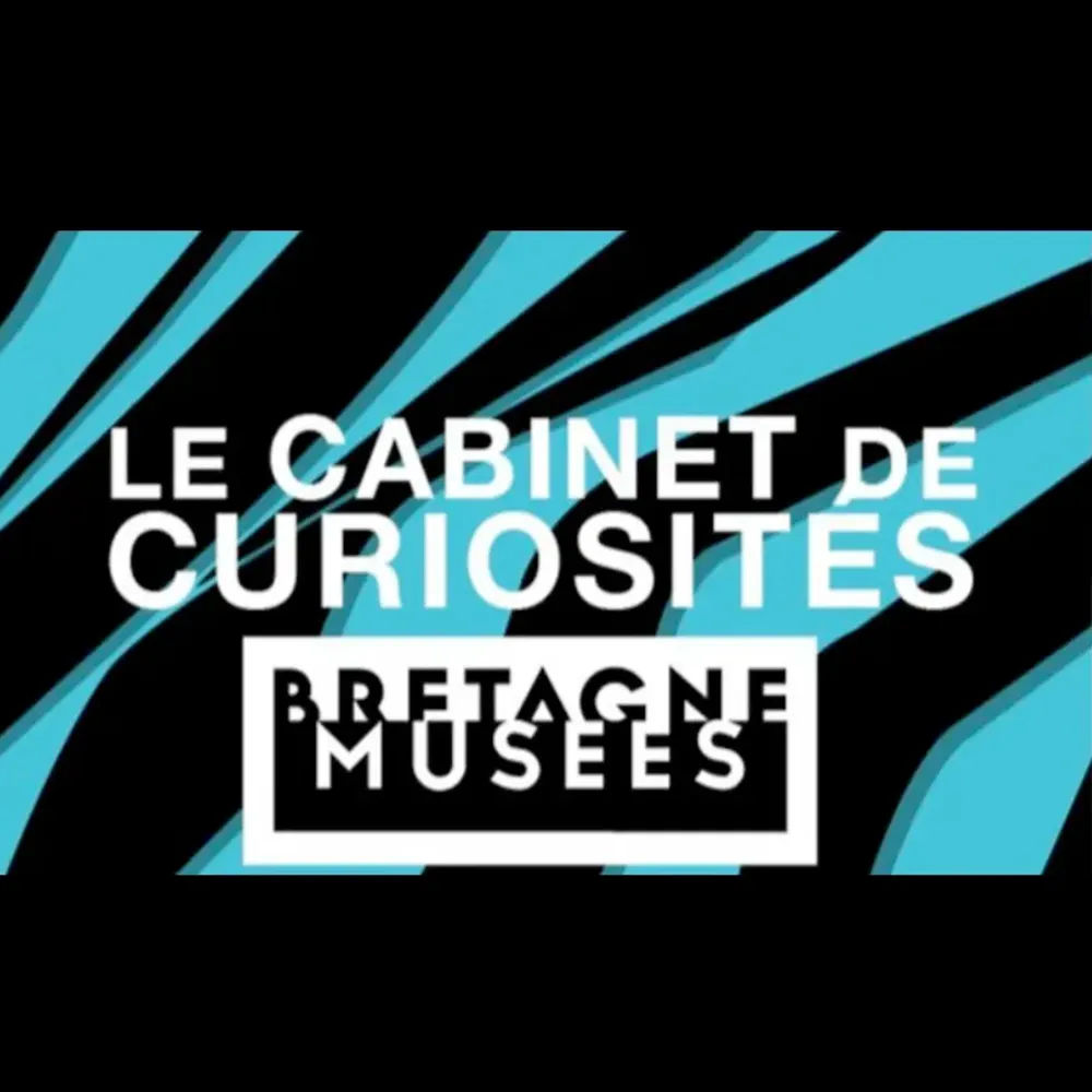 Bretagne Musées - Le cabinet de curiosités 