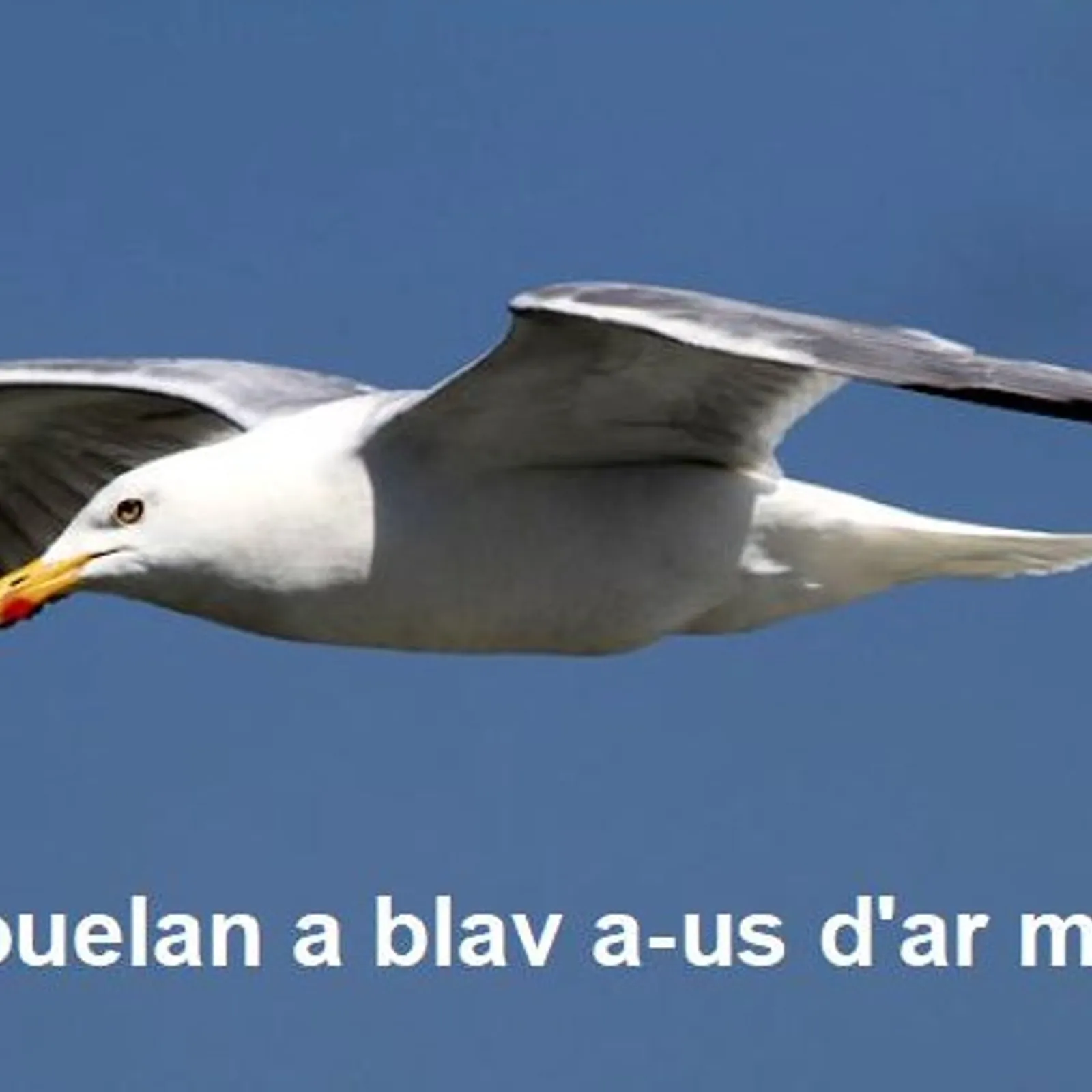 Cours n°190