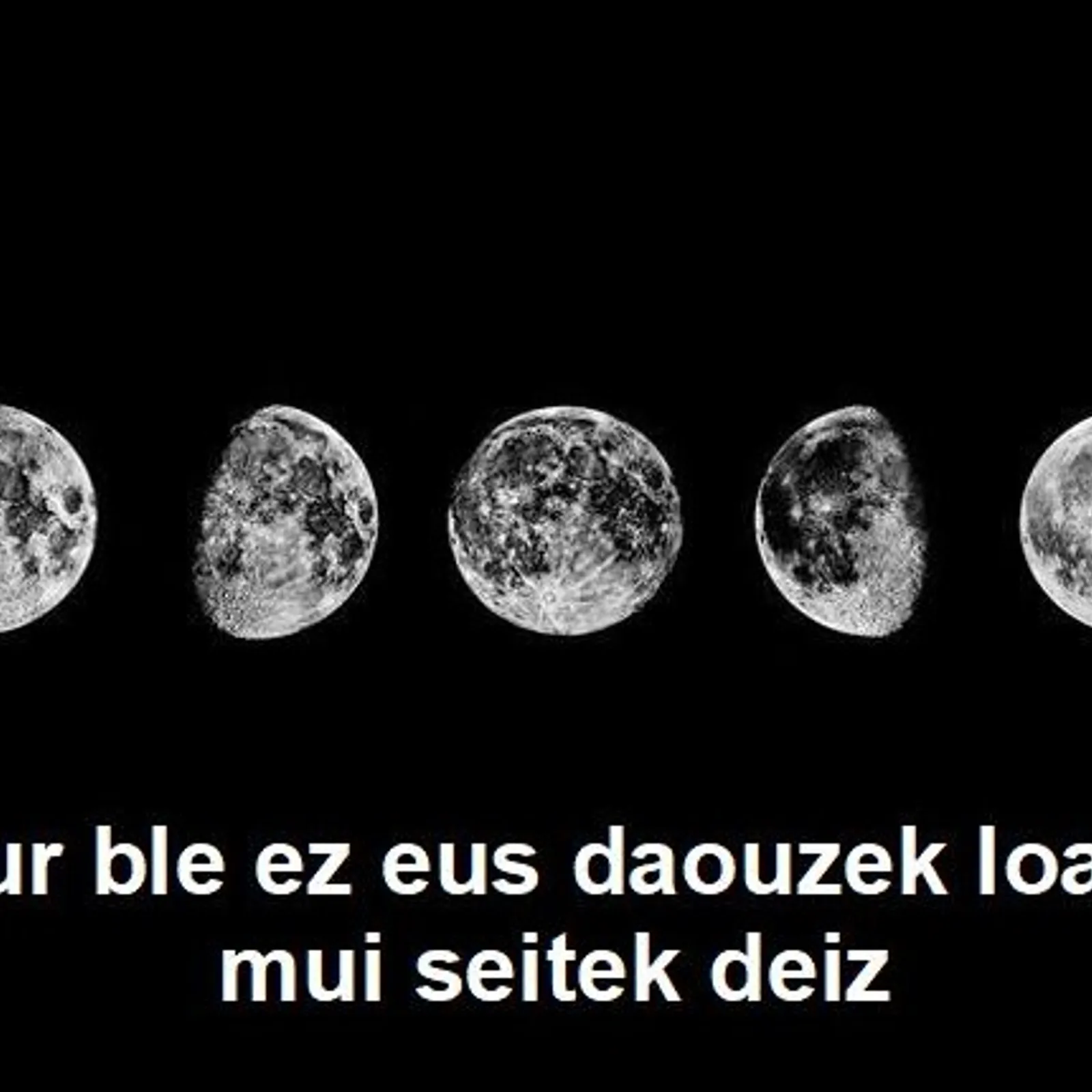 Cours n°125