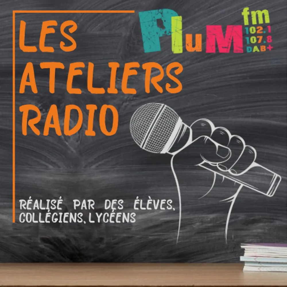 L'école du Sacré-Coeur de Réguiny sur les ondes : L'Assemblée Nationale