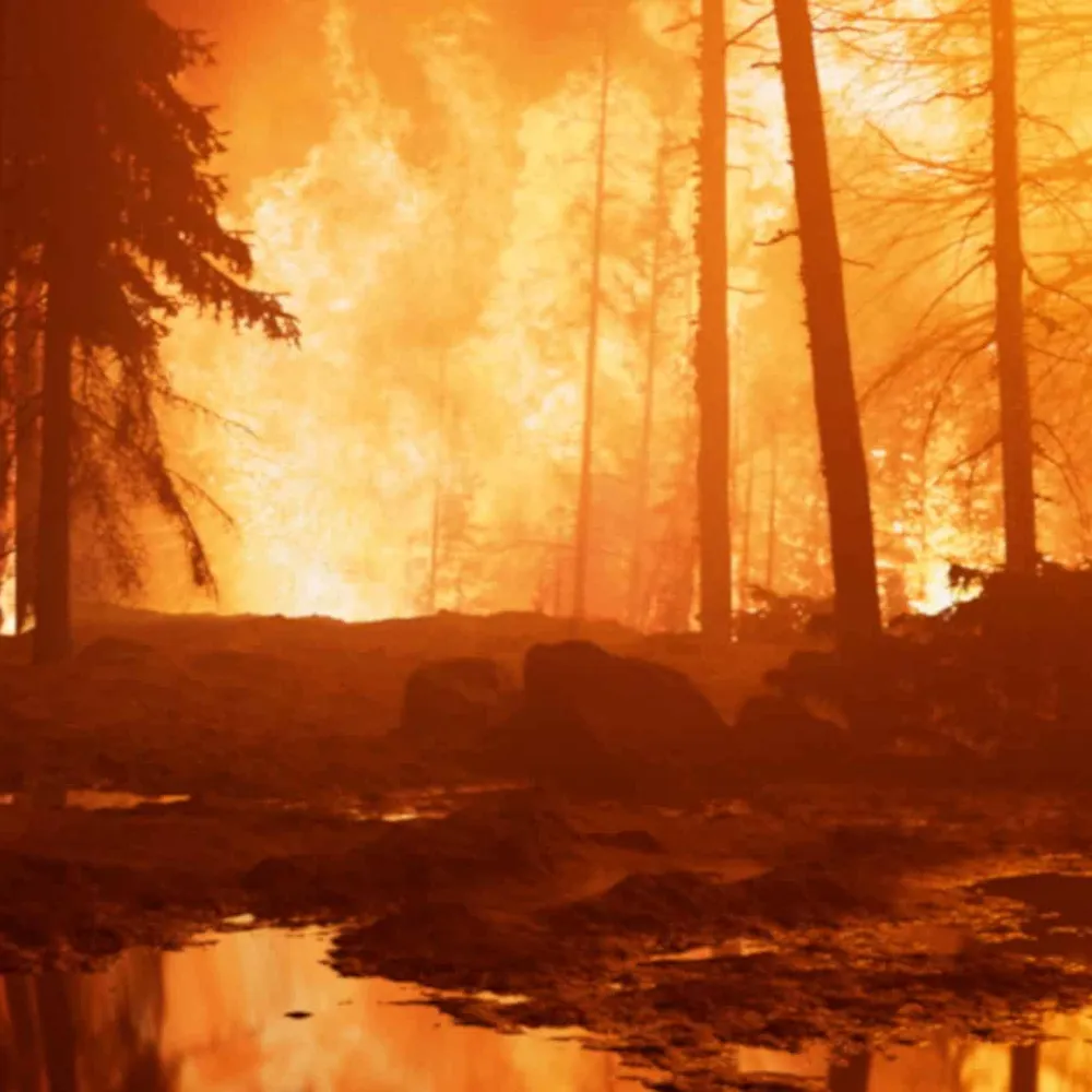 Tarzh an noz du vendredi 6 septembre 2024