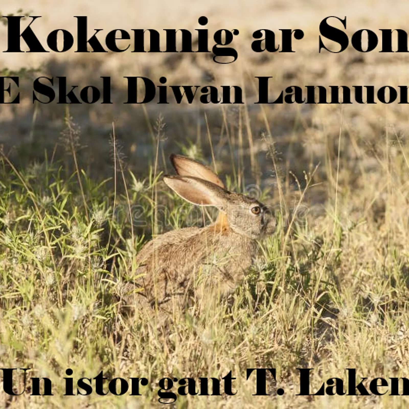 Bugale Skol Diwan Lannuon + Un istor gant Tomaz Laken