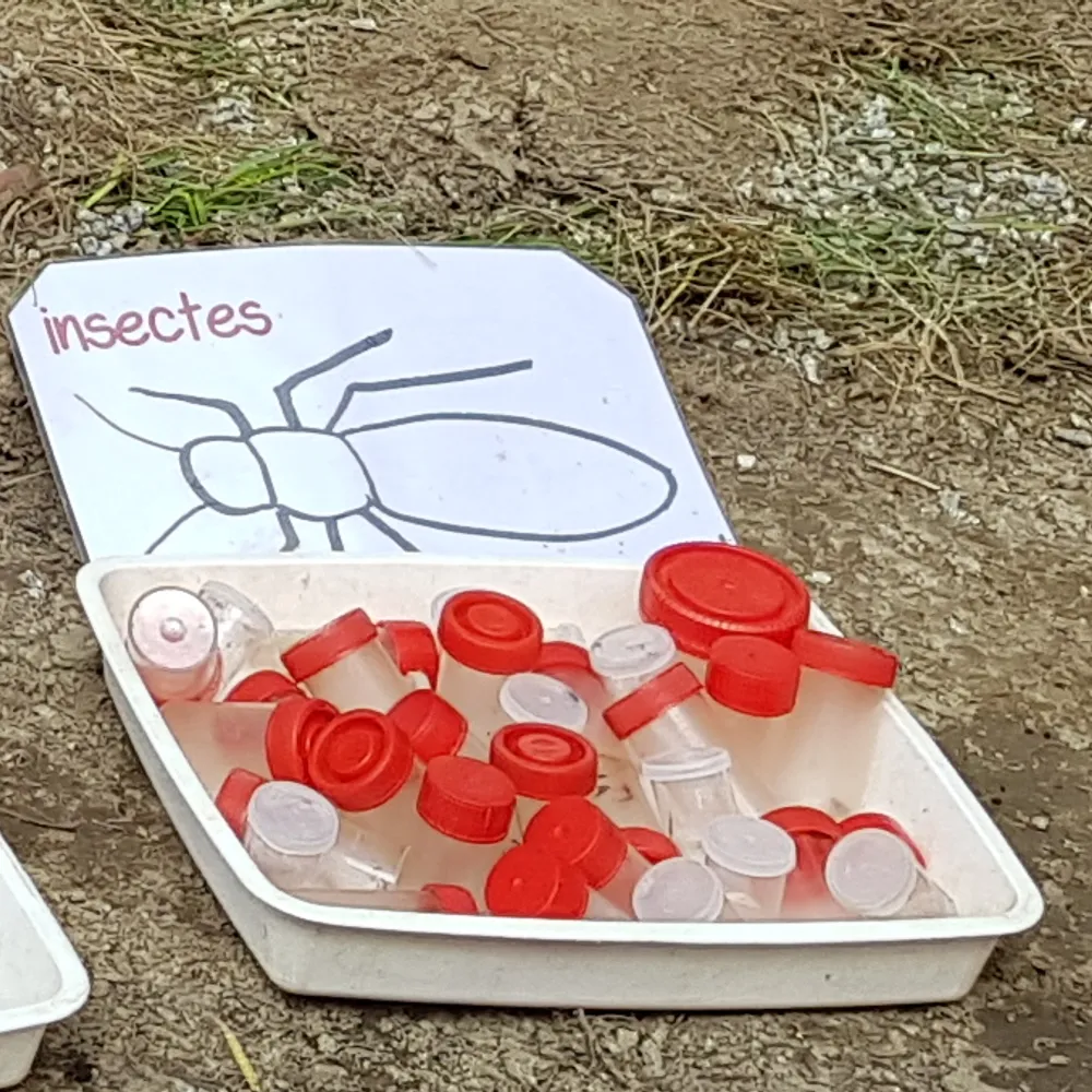 ATELIERS RADIO Augan - Maternelles CP - « École dehors » - Pour les enseignant.e.s