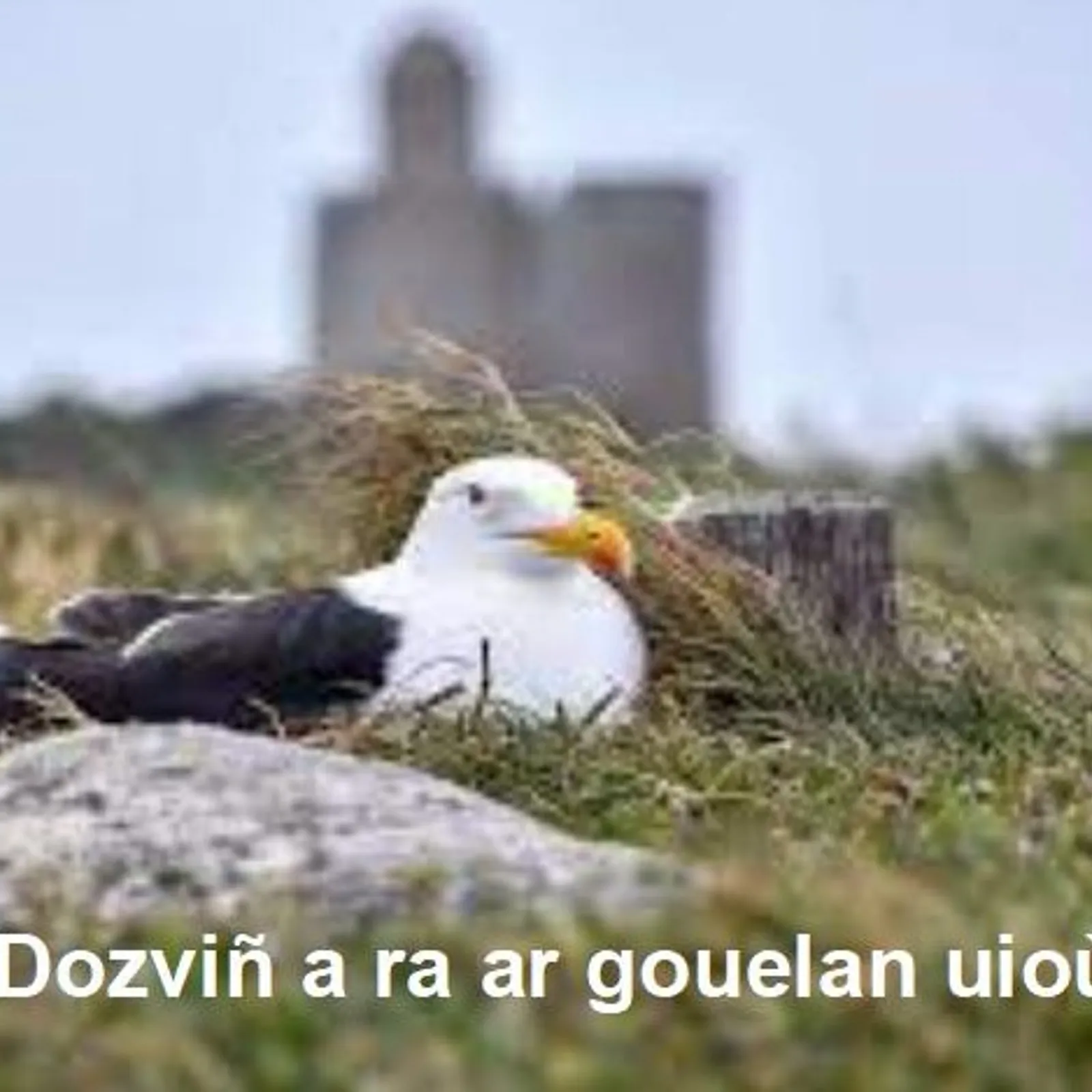 Cours n°194