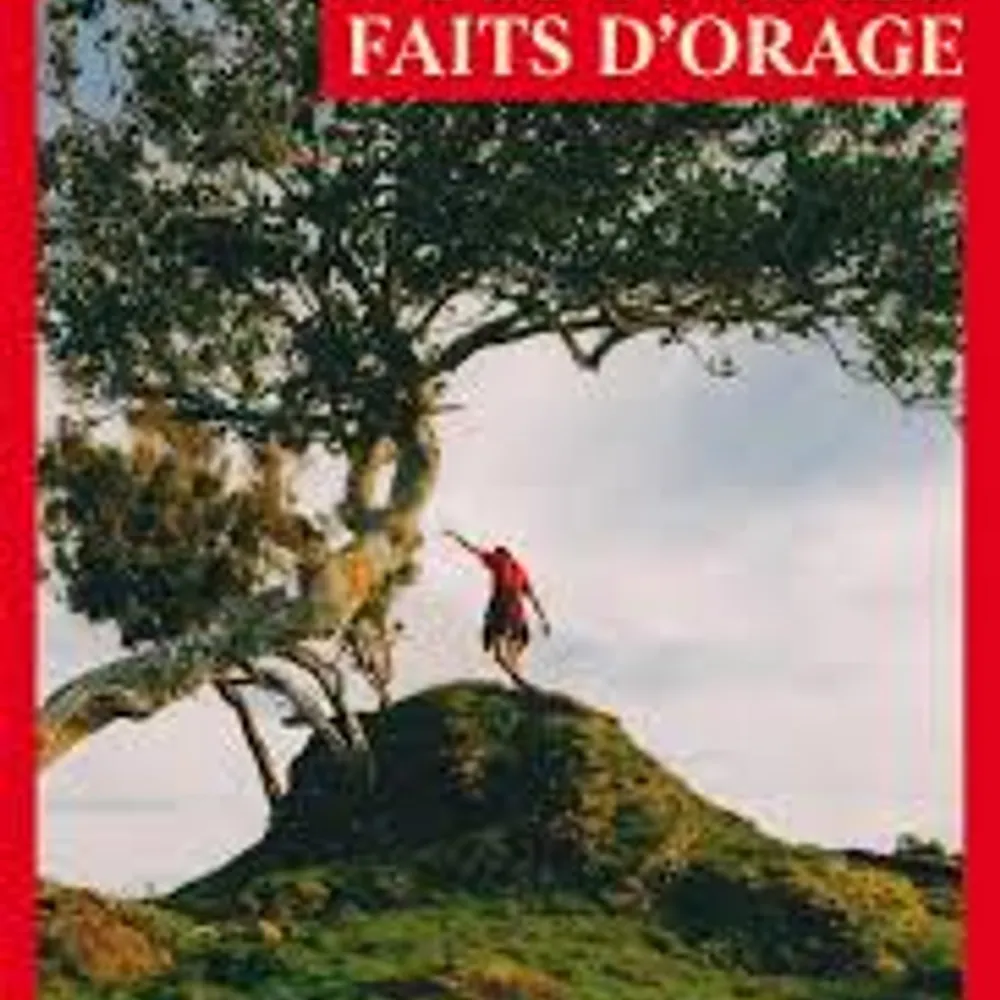 Nous sommes faits d'orage