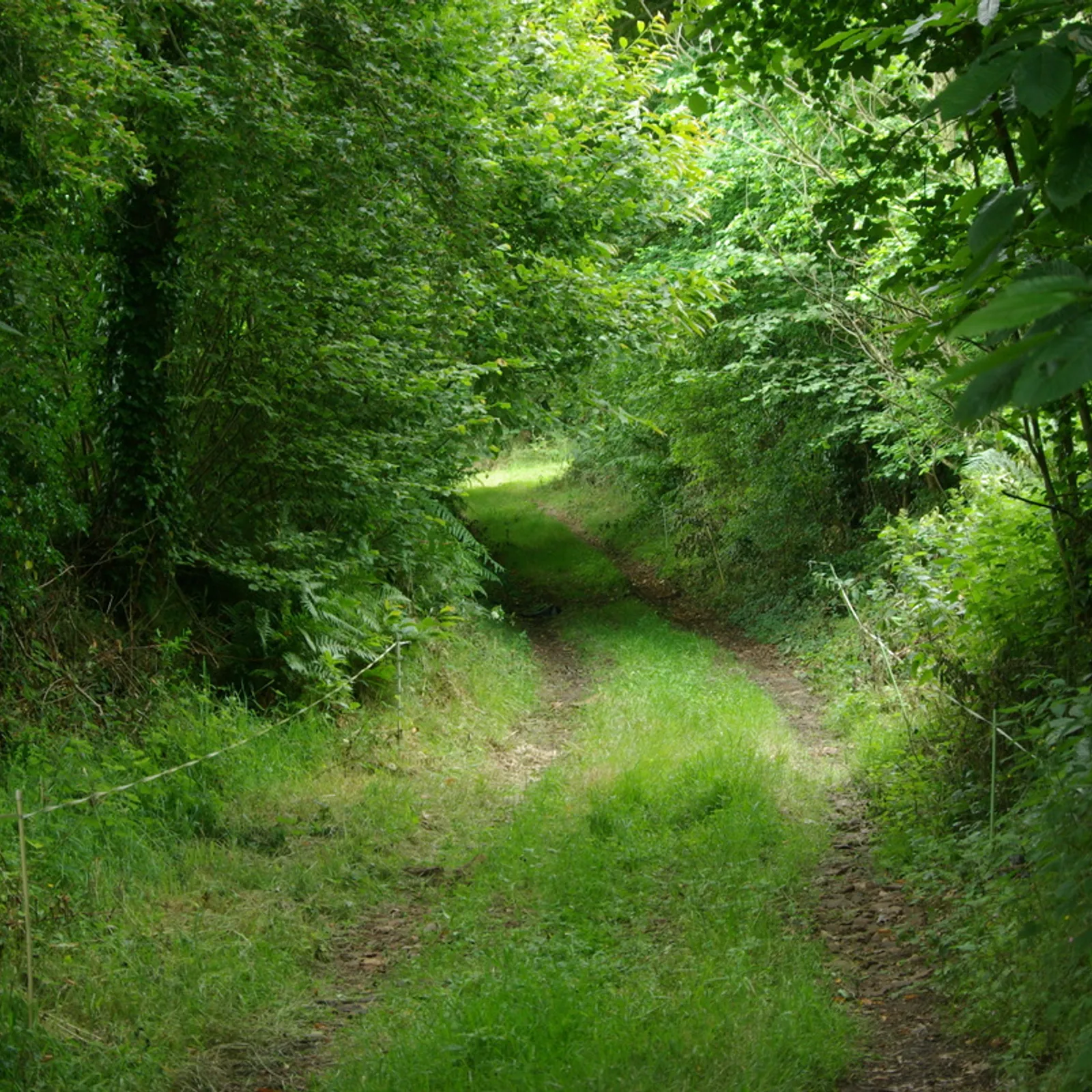 Henchou don Lanvaeleg, dour ha startijenn er botoù !