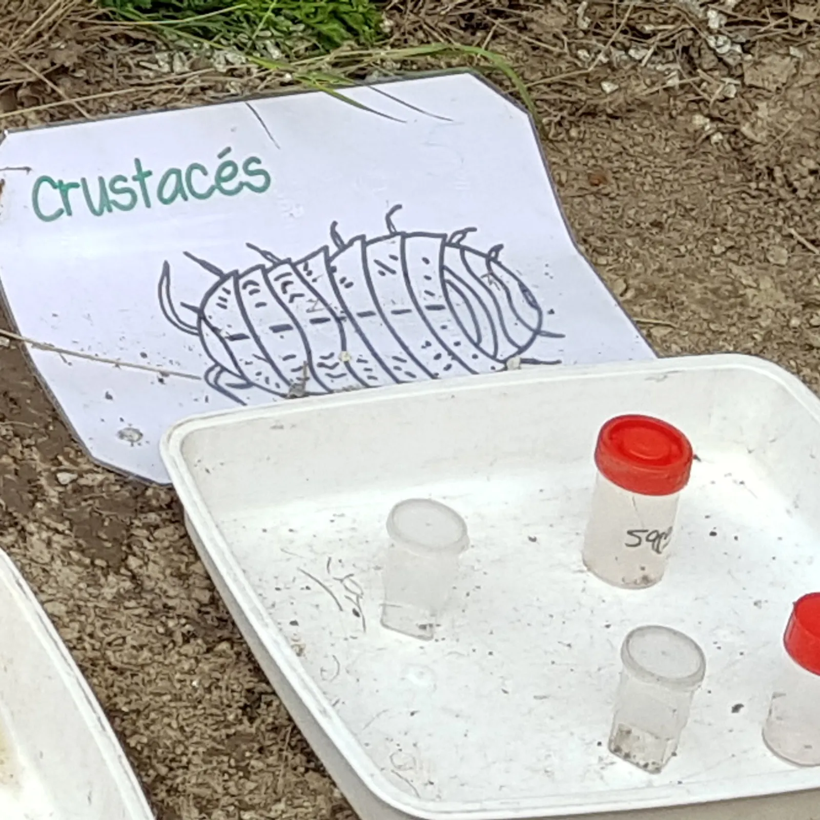 ATELIERS RADIO Augan - Maternelles CP - « École dehors » - Les petit.e.s