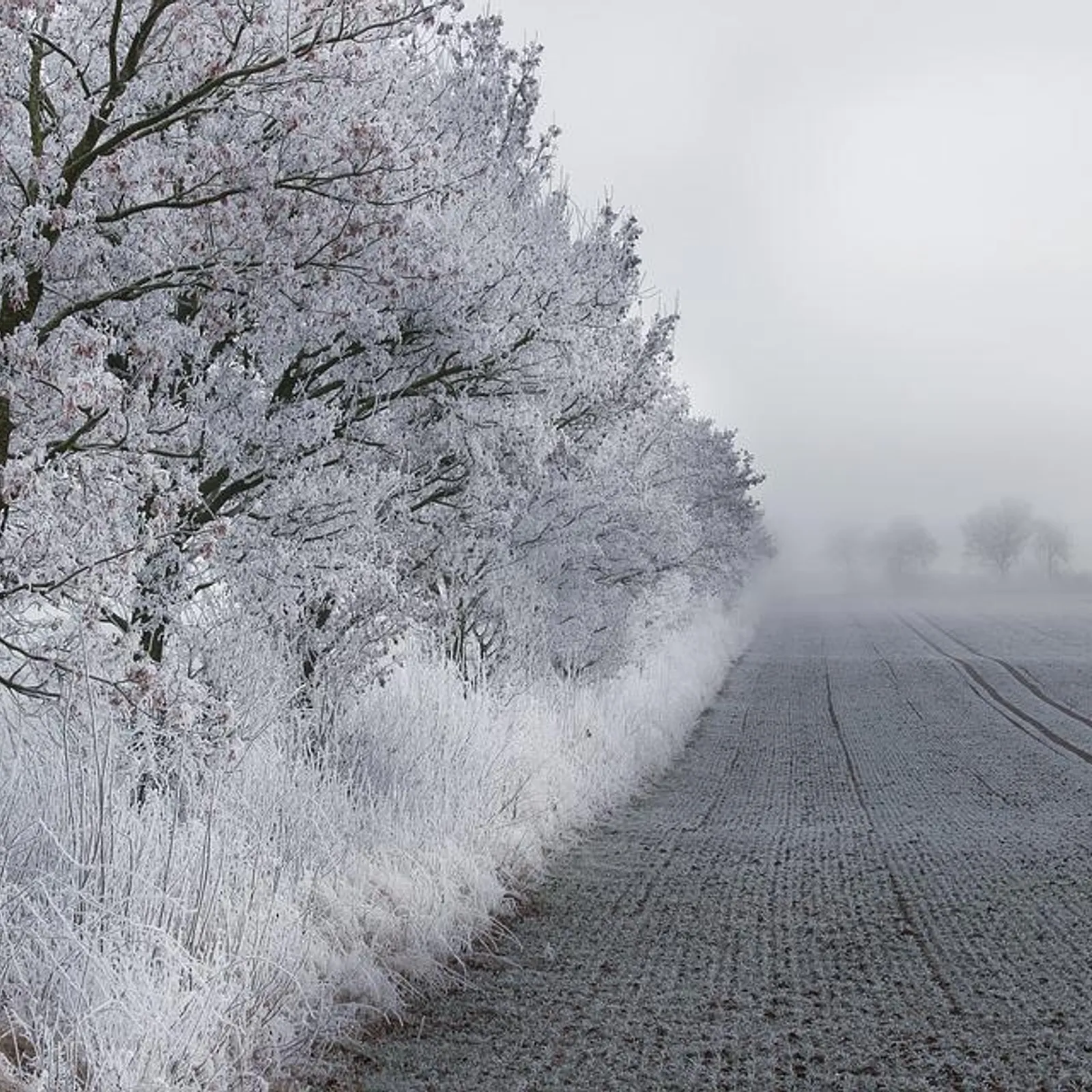 Gouel Nedeleg hag an deiz kentañ ar bloaz