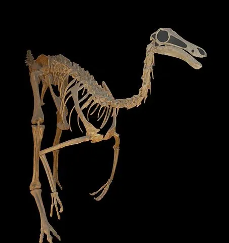 Le Gallimimus