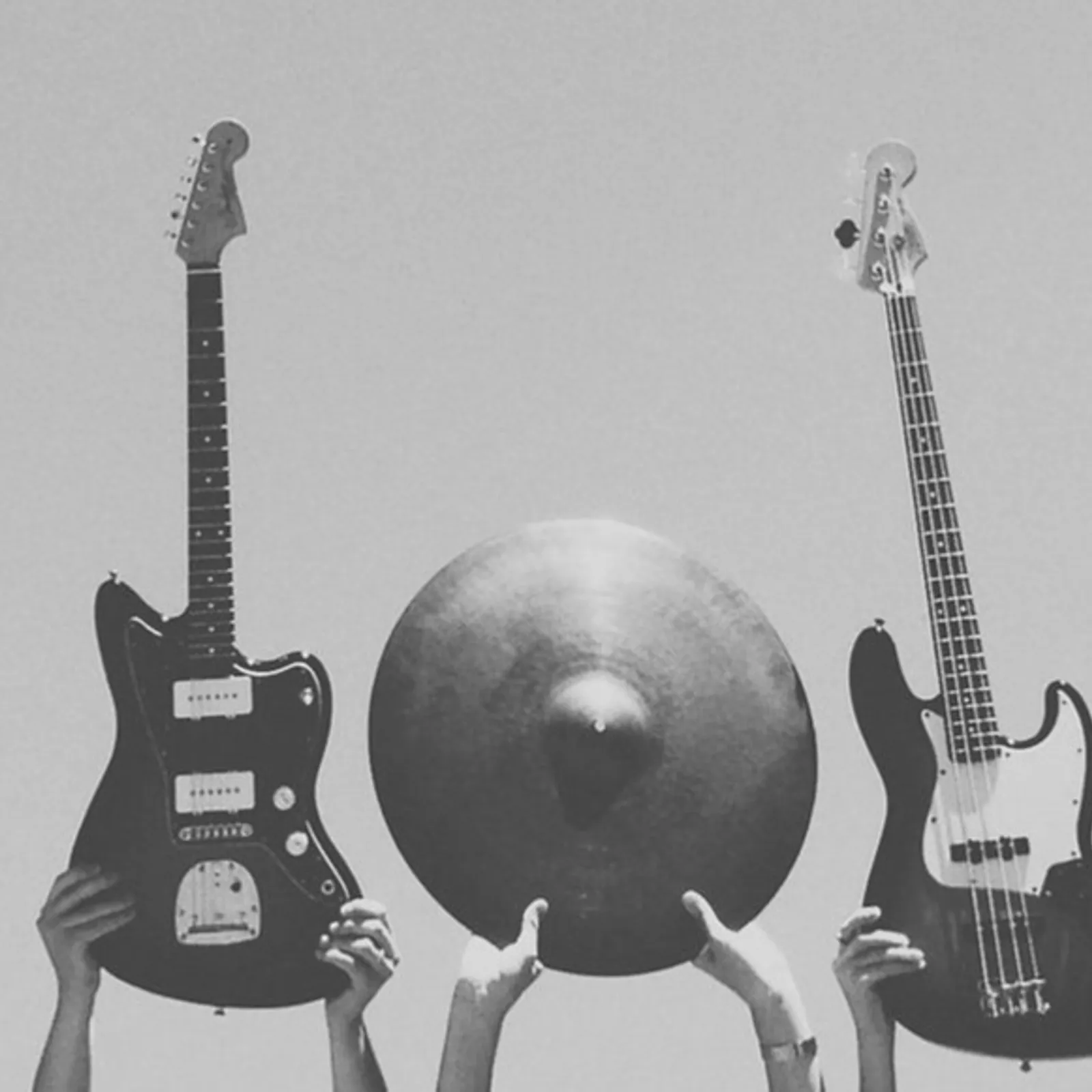 LA BASSE COUR S'Y J'Y SUIS : Ray Is