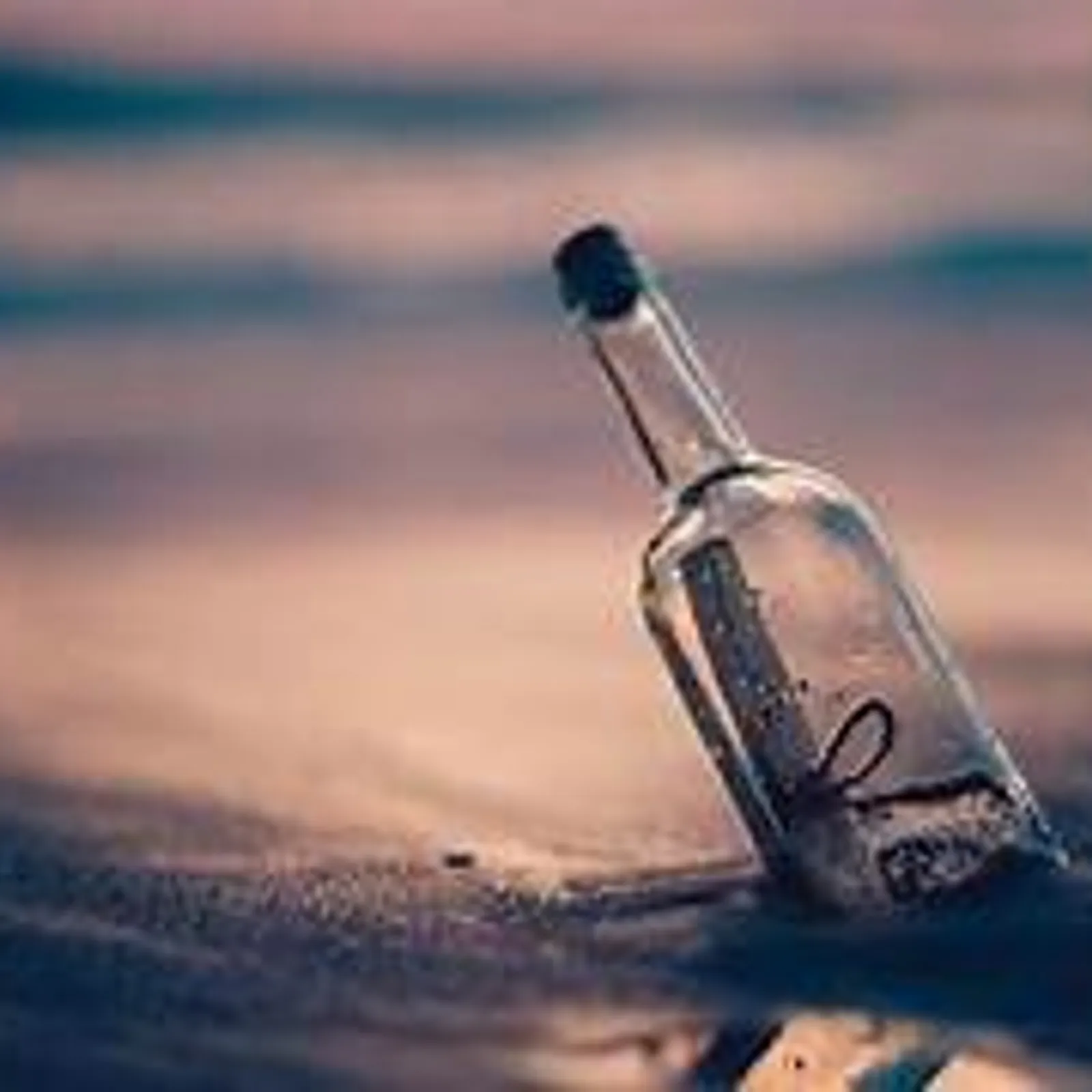 L'herbier de Bernadette