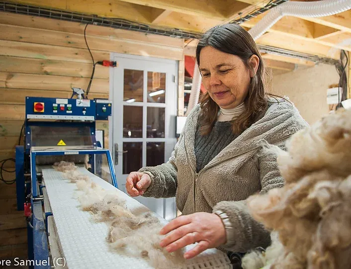 La petite filature bretonne retisse la culture de la laine en centre Bretagne 01