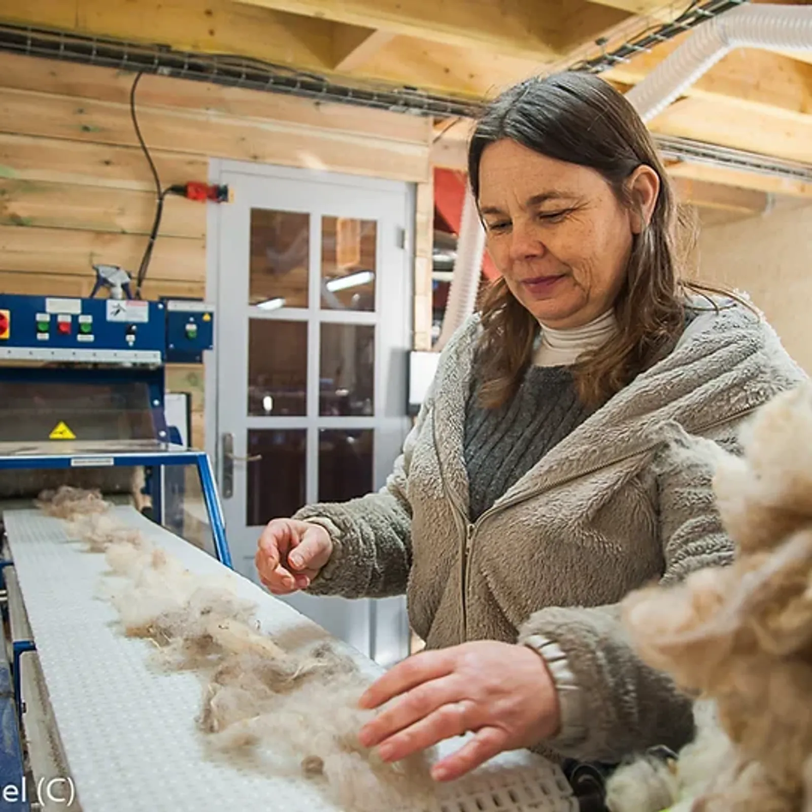 La petite filature bretonne retisse la culture de la laine en centre Bretagne 01
