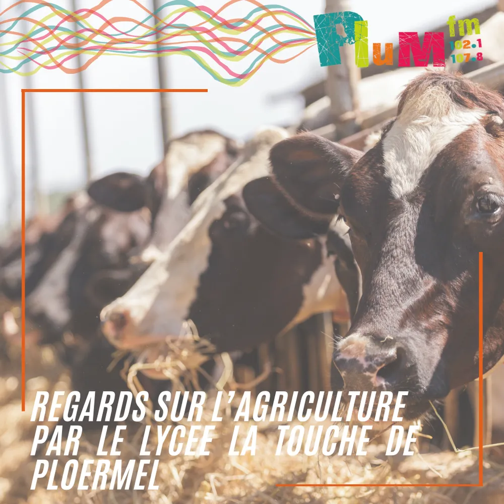 L'évolution de l'agriculture en 100 ans - avec Karen, Célia et Bastien