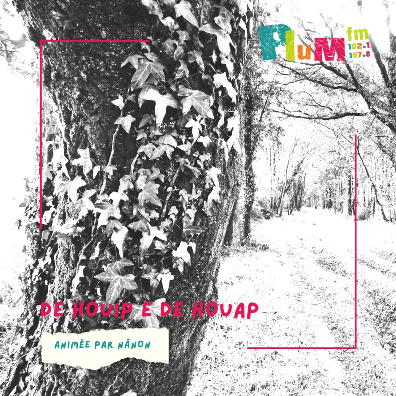 De houip e de houap : Yves Bourdaud