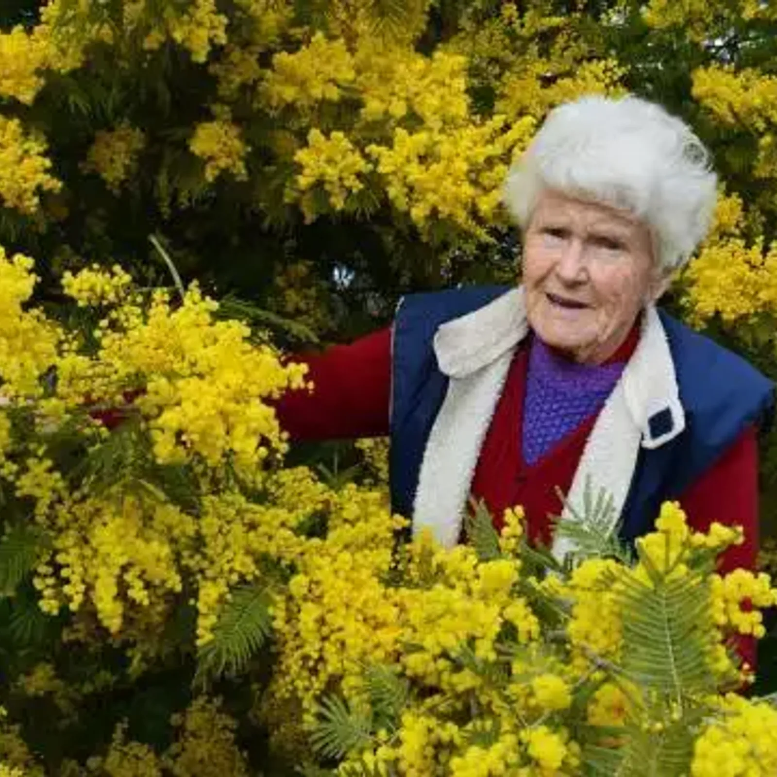 Une jeunesse sous les bombes