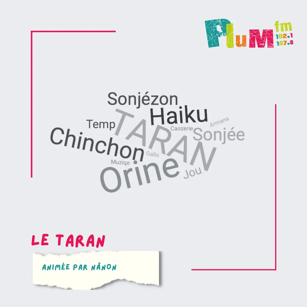 Le Taran du 8 d'avri