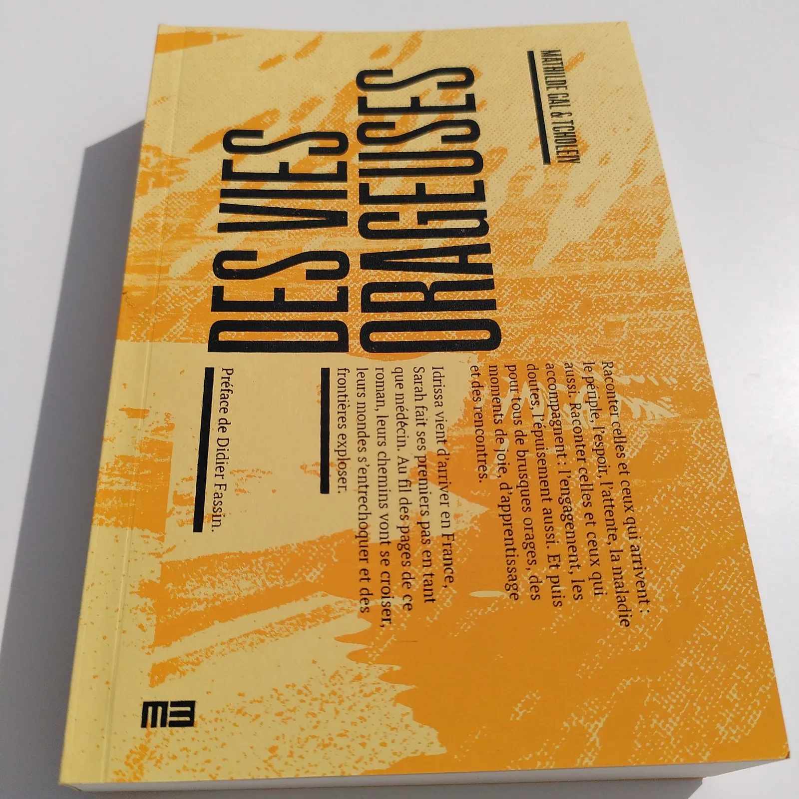 "Des vies orageuses", ul levr war an buhez an divroidi ha divroadezed e Frañs