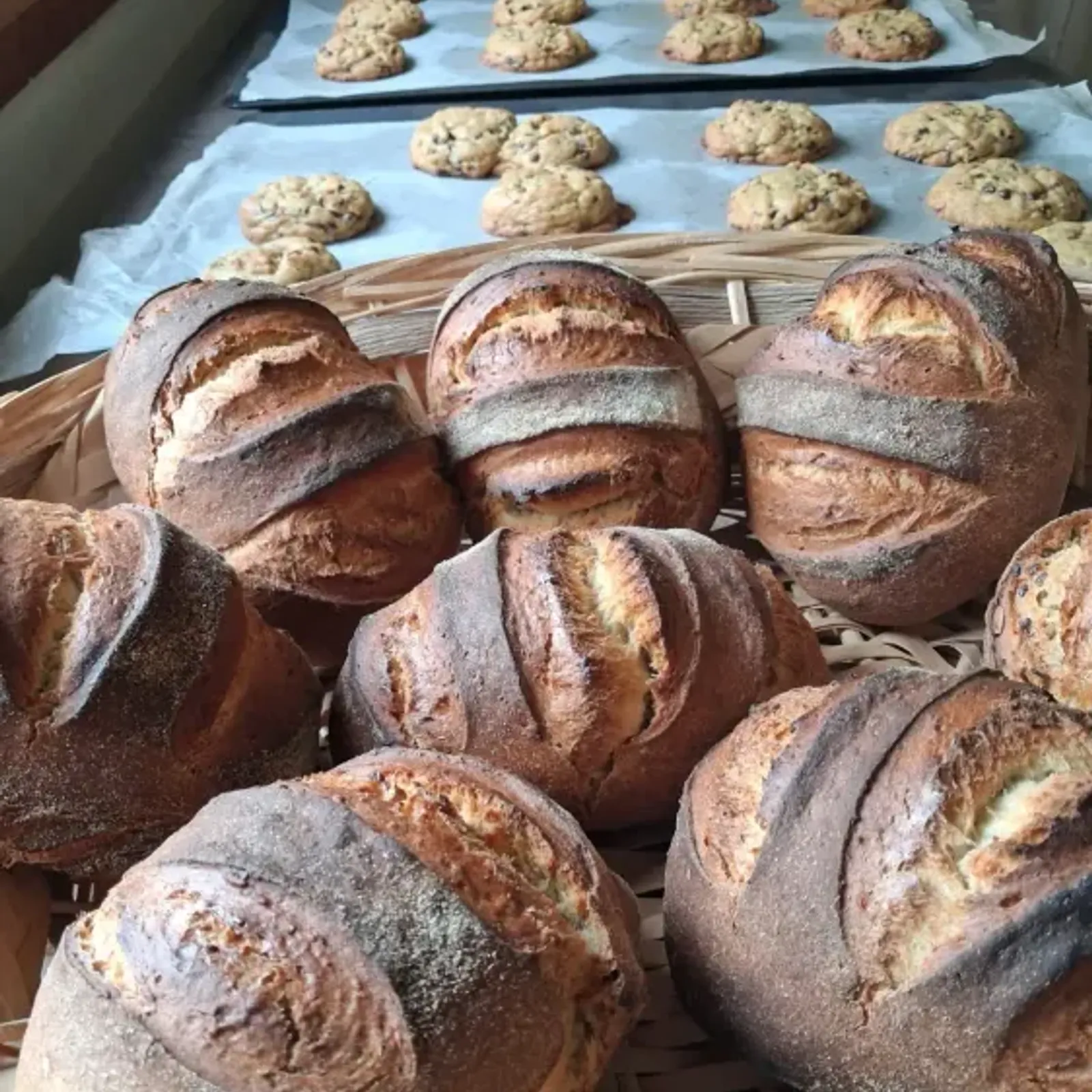La boulangerie paysanne à la ferme d'Enez Raden de Saint-Évarzec