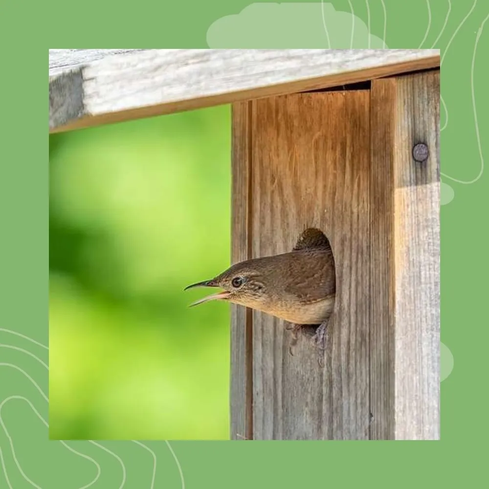 3- Laboused 3-3 : an neizh