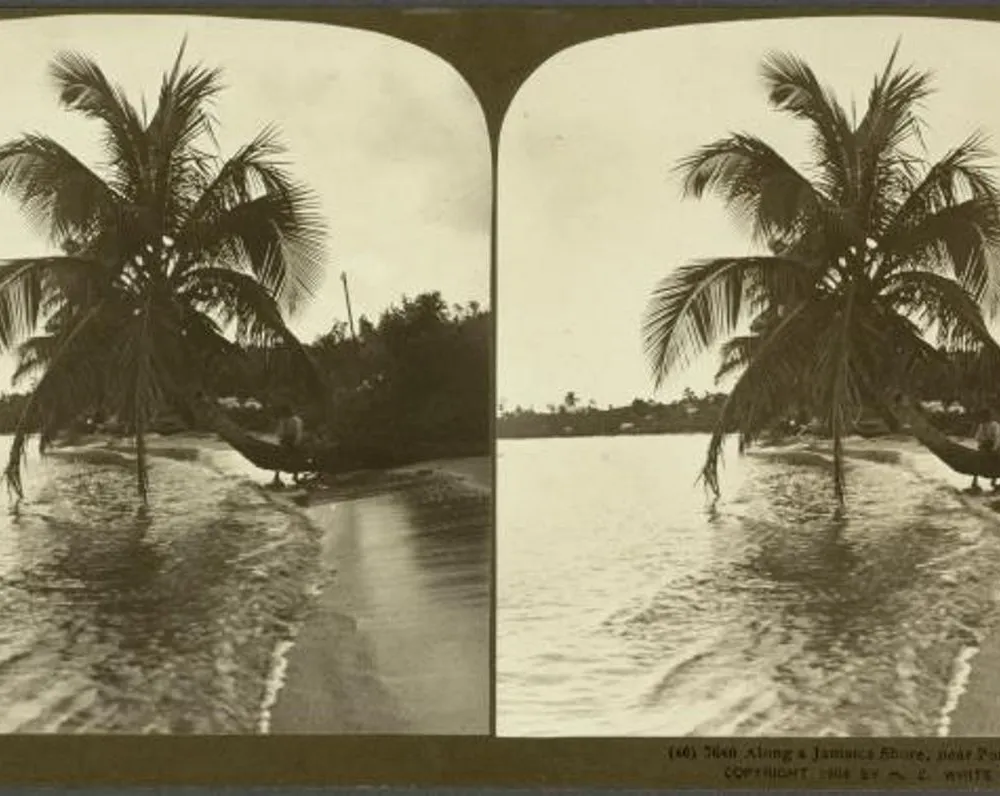 Bandes Organisées #40 : à la découverte des iles - part. 4