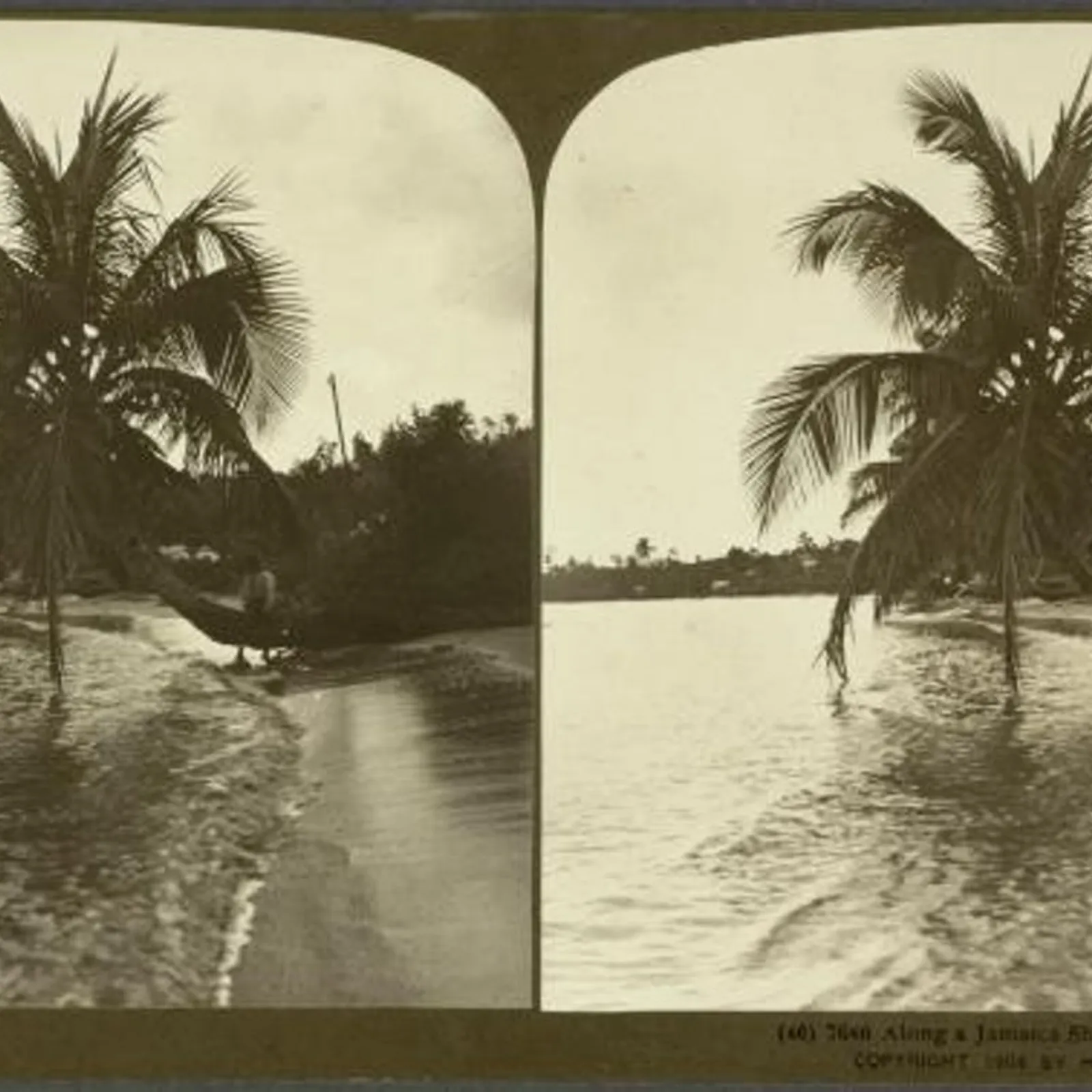 Bandes Organisées #40 : à la découverte des iles - part. 4