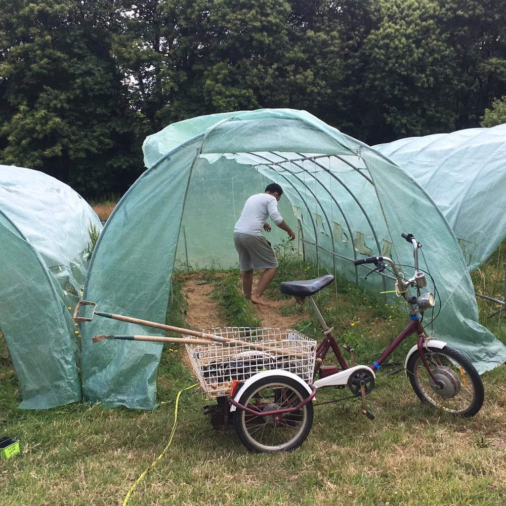 Regard d'un nouvel arrivant au pays sur la culture du fest-noz
