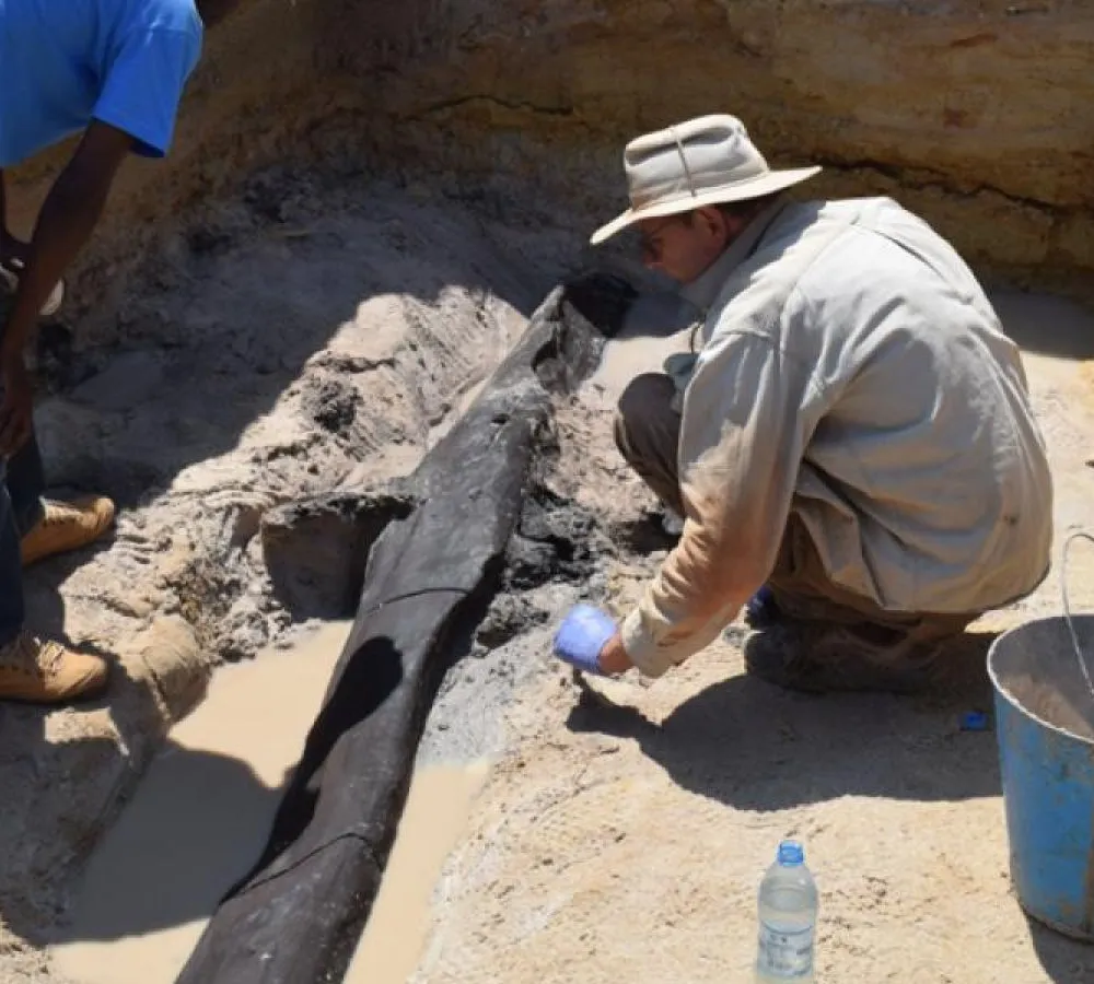 Le premier bâtiment